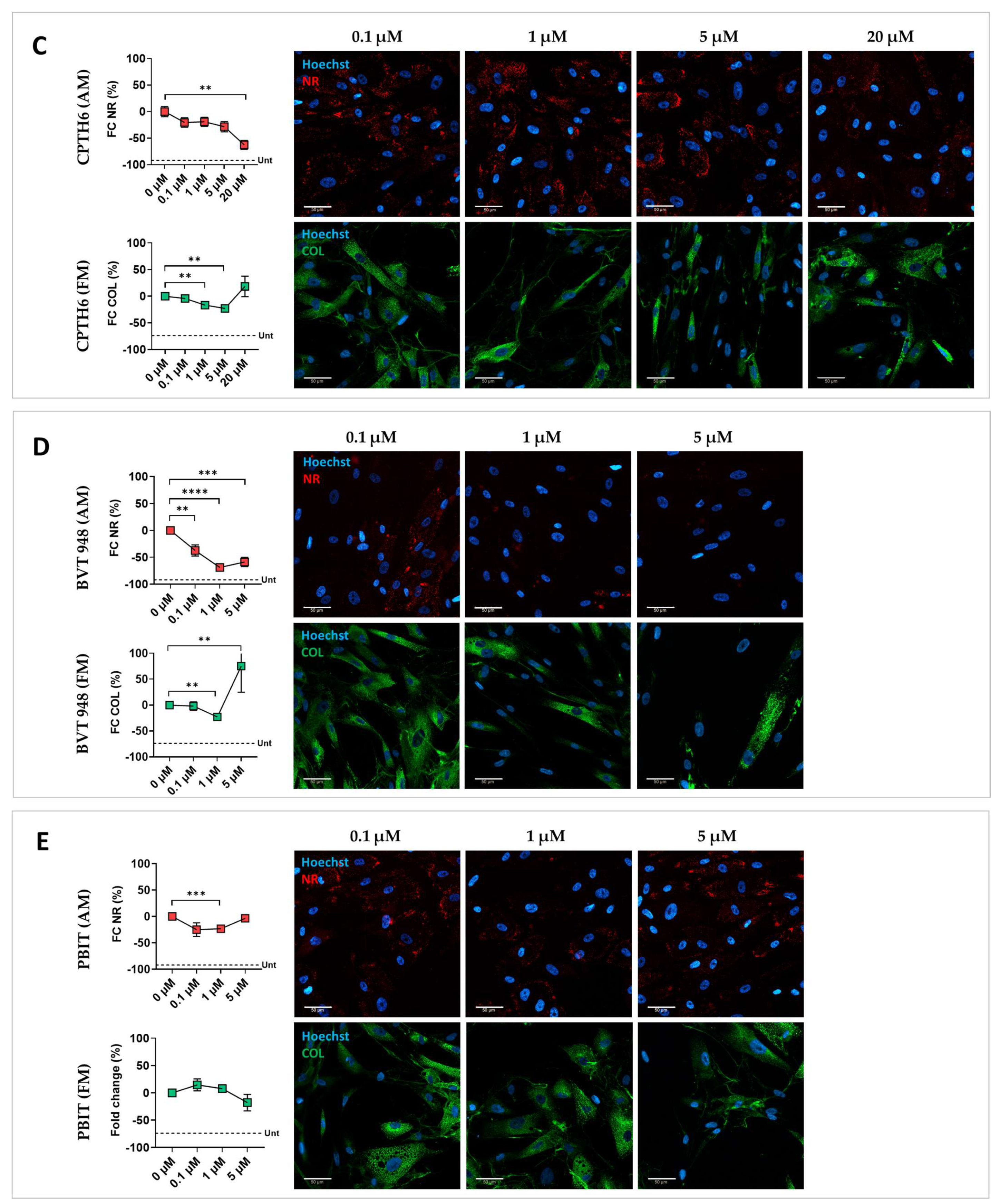 Biomolecules 15 01565 g002b Biomolecules 15 01565 g002b