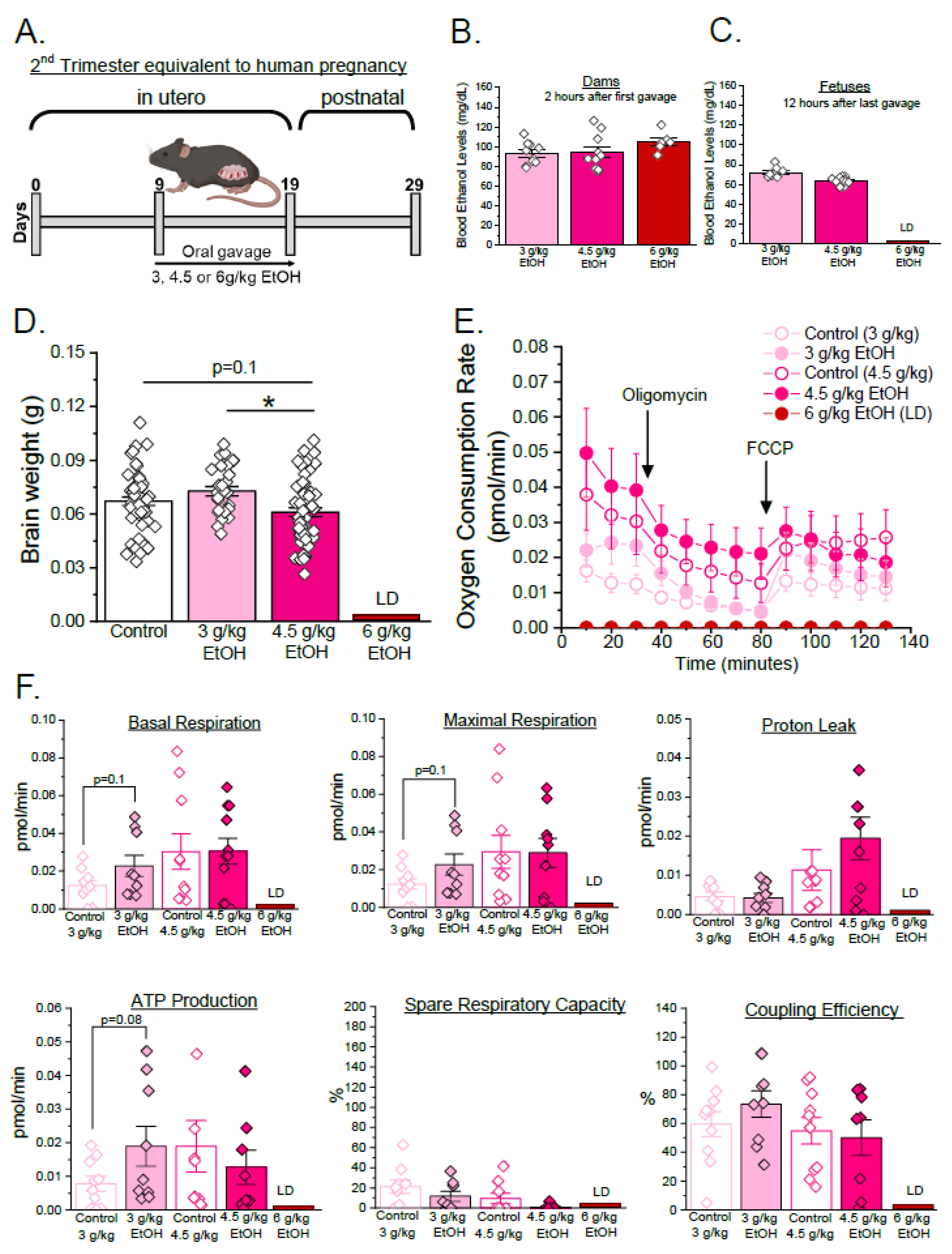 Biomolecules 15 01566 g001 Biomolecules 15 01566 g001