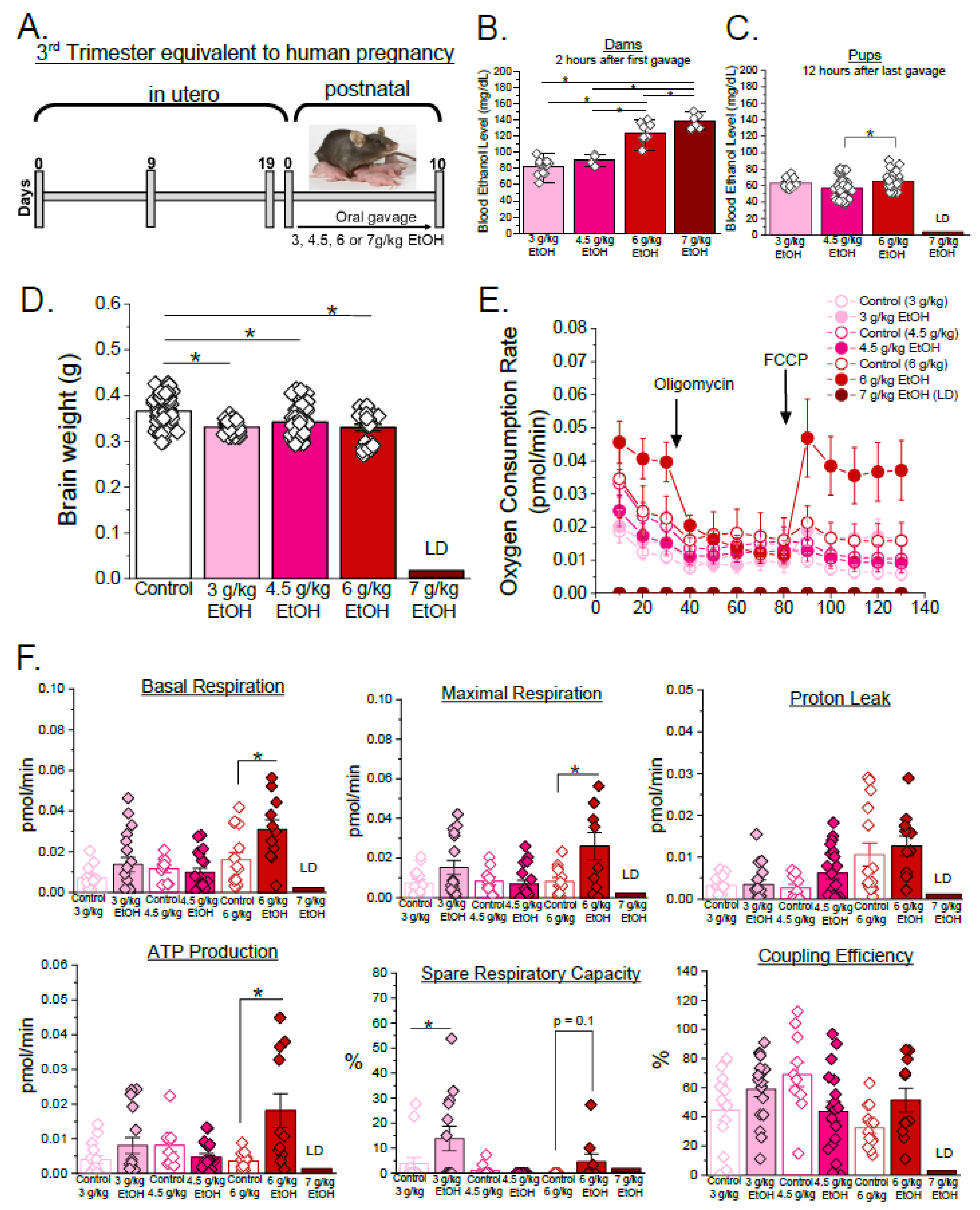 Biomolecules 15 01566 g002 Biomolecules 15 01566 g002