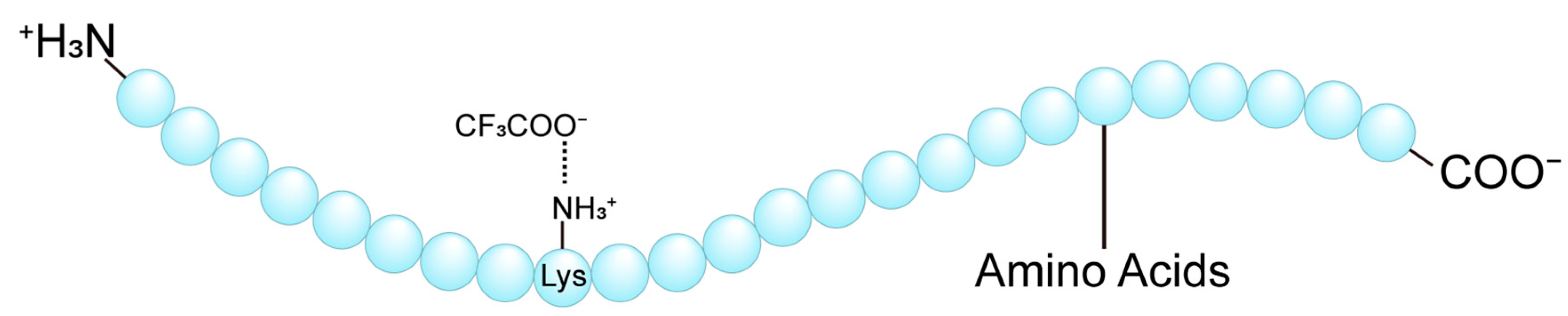 Biomolecules 15 01567 g001 Biomolecules 15 01567 g001