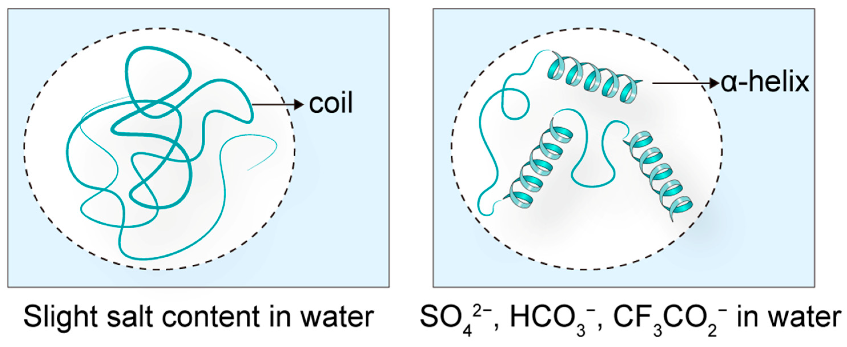 Biomolecules 15 01567 g003 Biomolecules 15 01567 g003