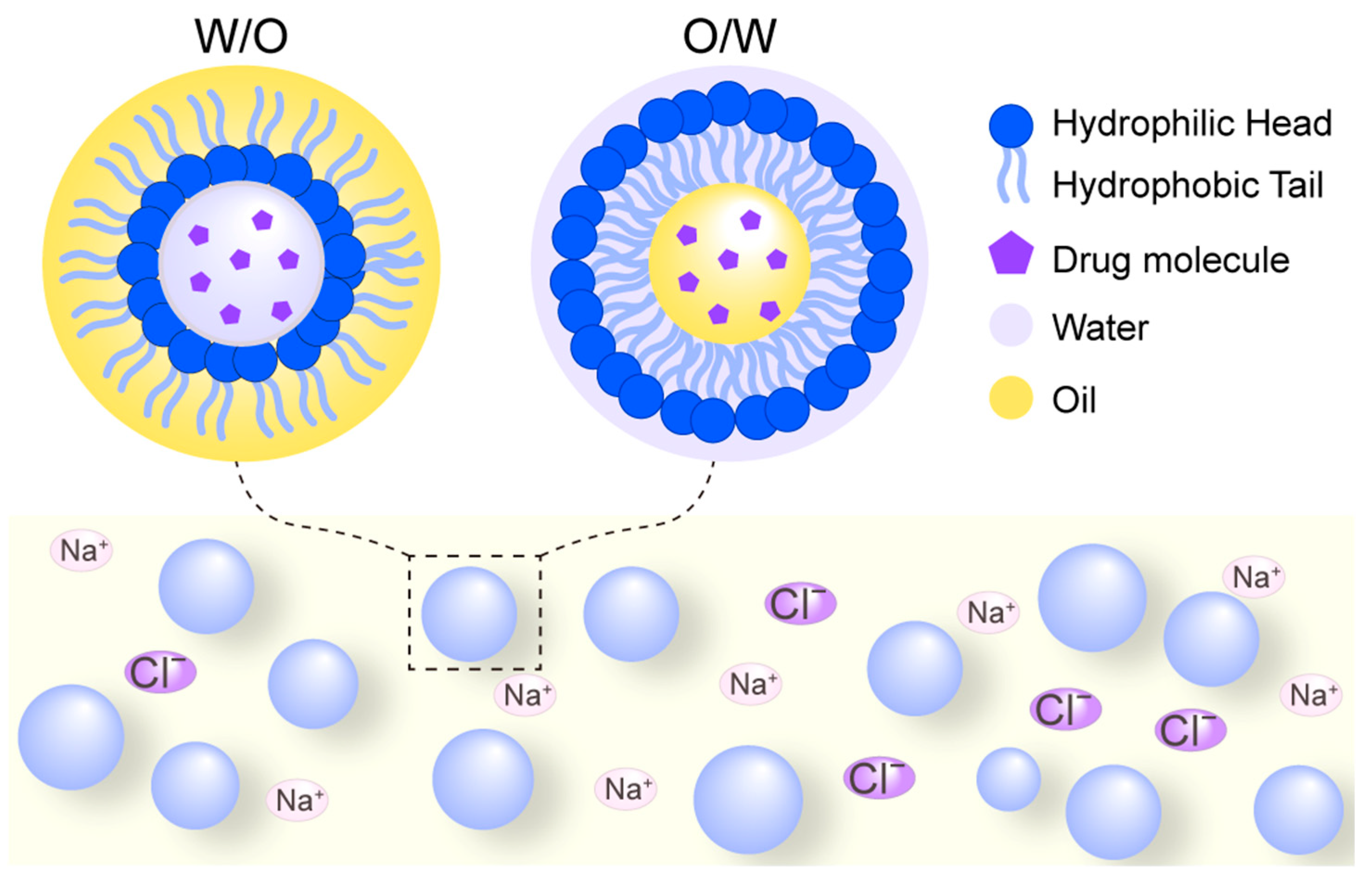 Biomolecules 15 01567 g006 Biomolecules 15 01567 g006