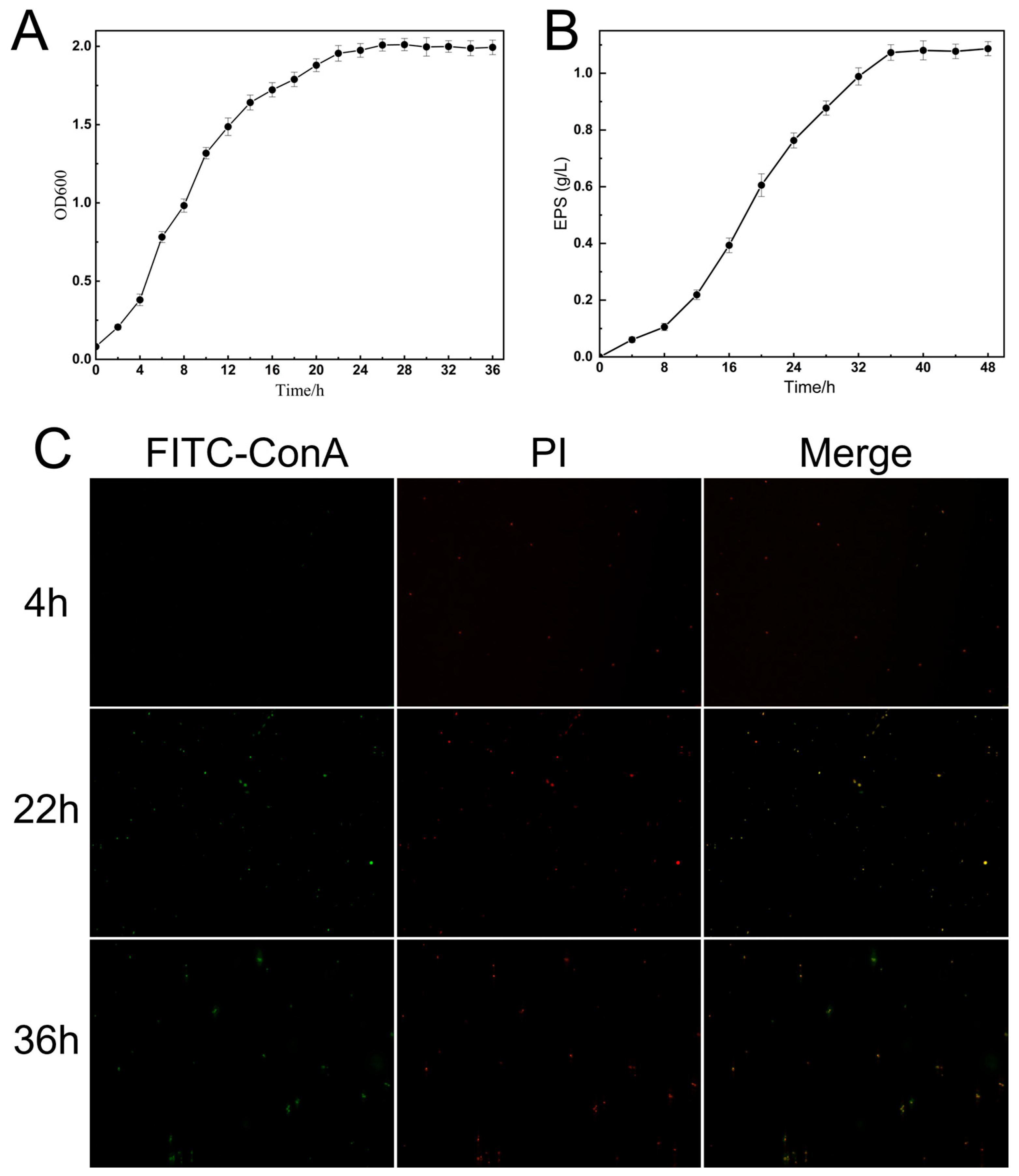 Biomolecules 15 01569 g004 Biomolecules 15 01569 g004