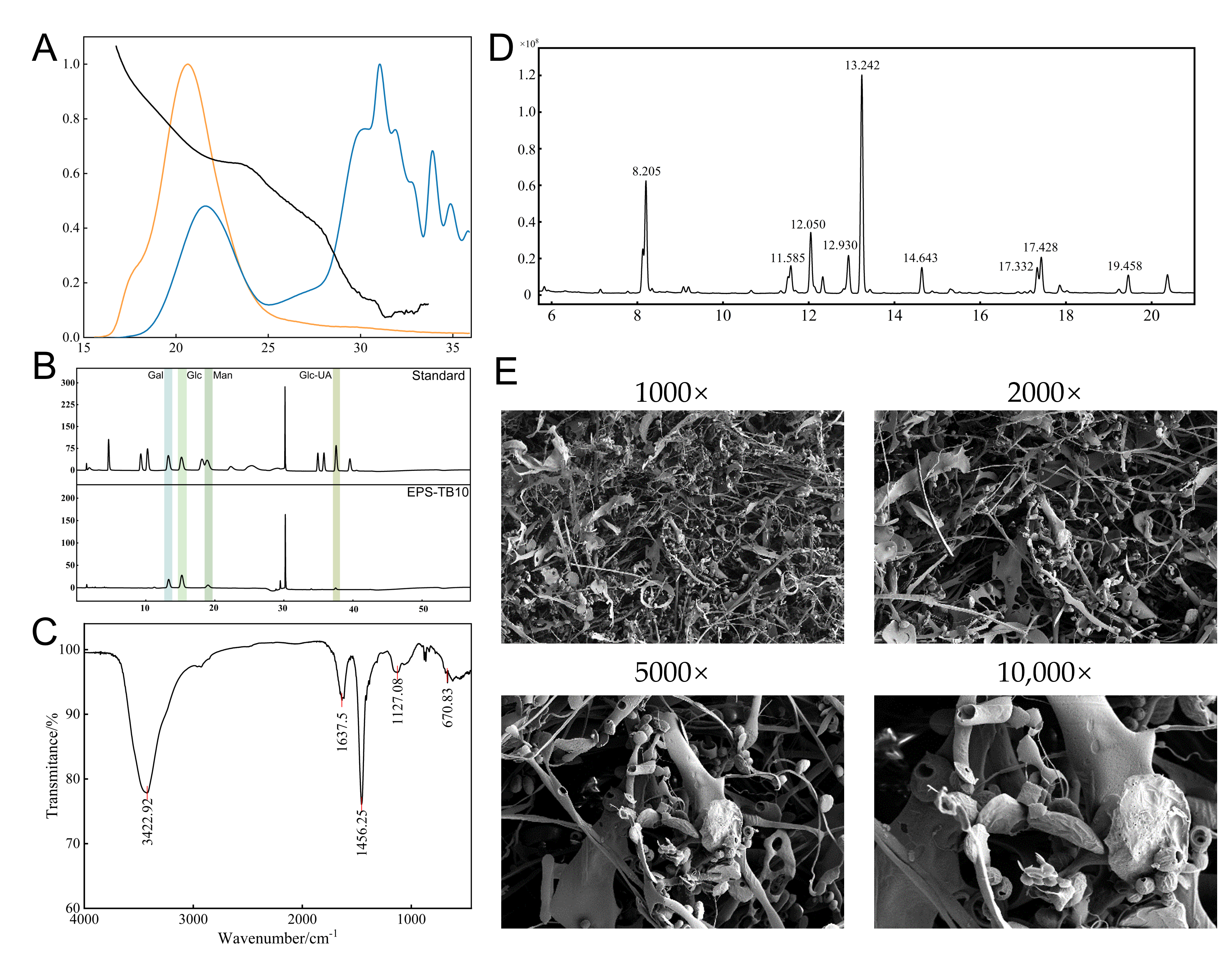 Biomolecules 15 01569 g005 Biomolecules 15 01569 g005