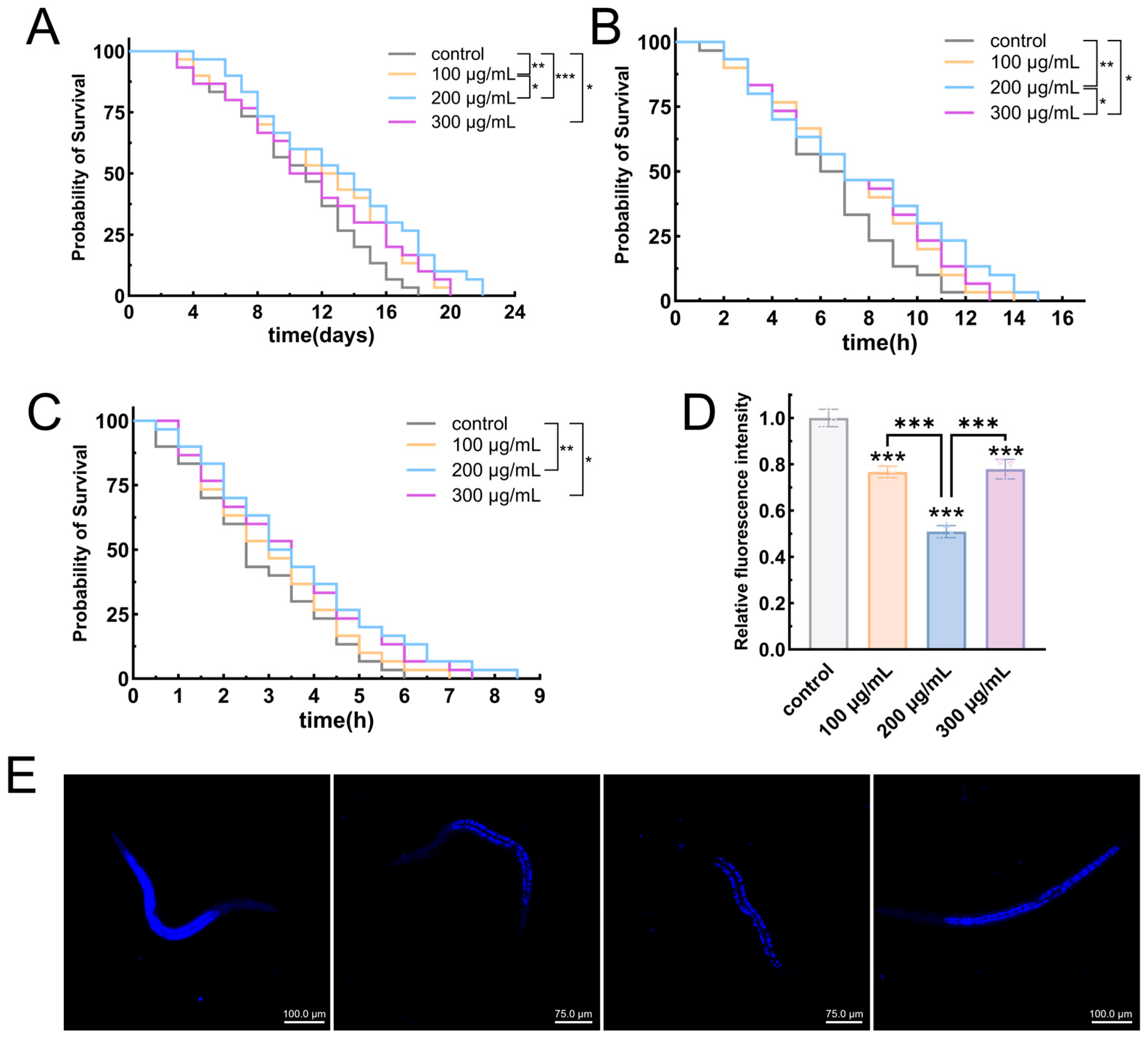 Biomolecules 15 01569 g007 Biomolecules 15 01569 g007