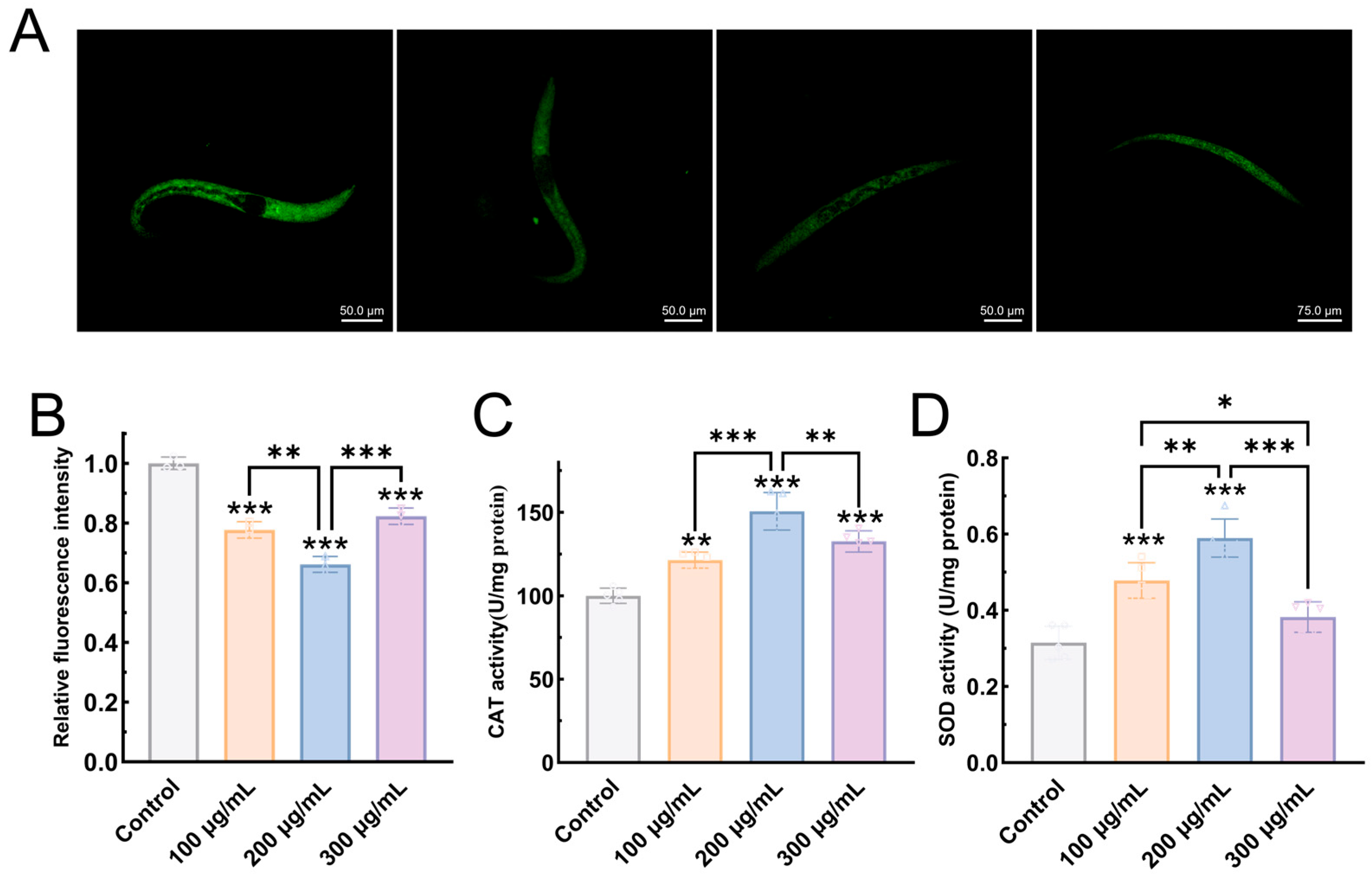 Biomolecules 15 01569 g008 Biomolecules 15 01569 g008
