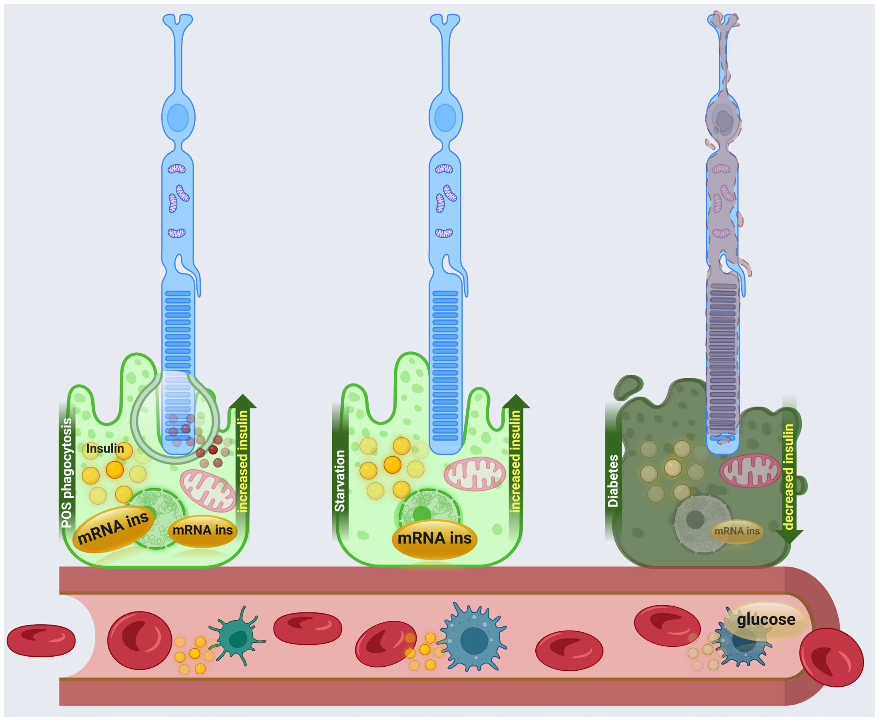 Biomolecules 15 01570 g003