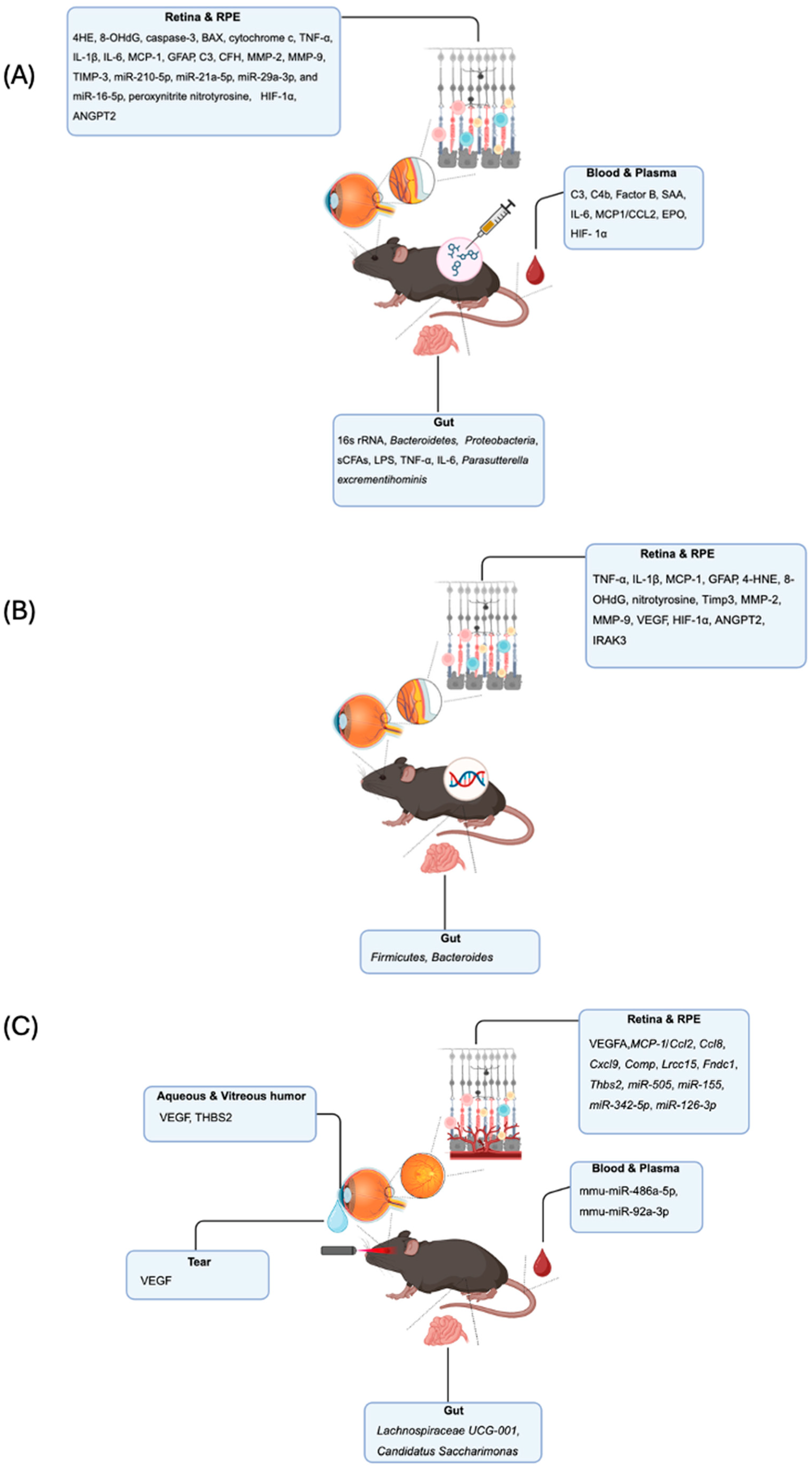 Biomolecules 15 01571 g001 Biomolecules 15 01571 g001