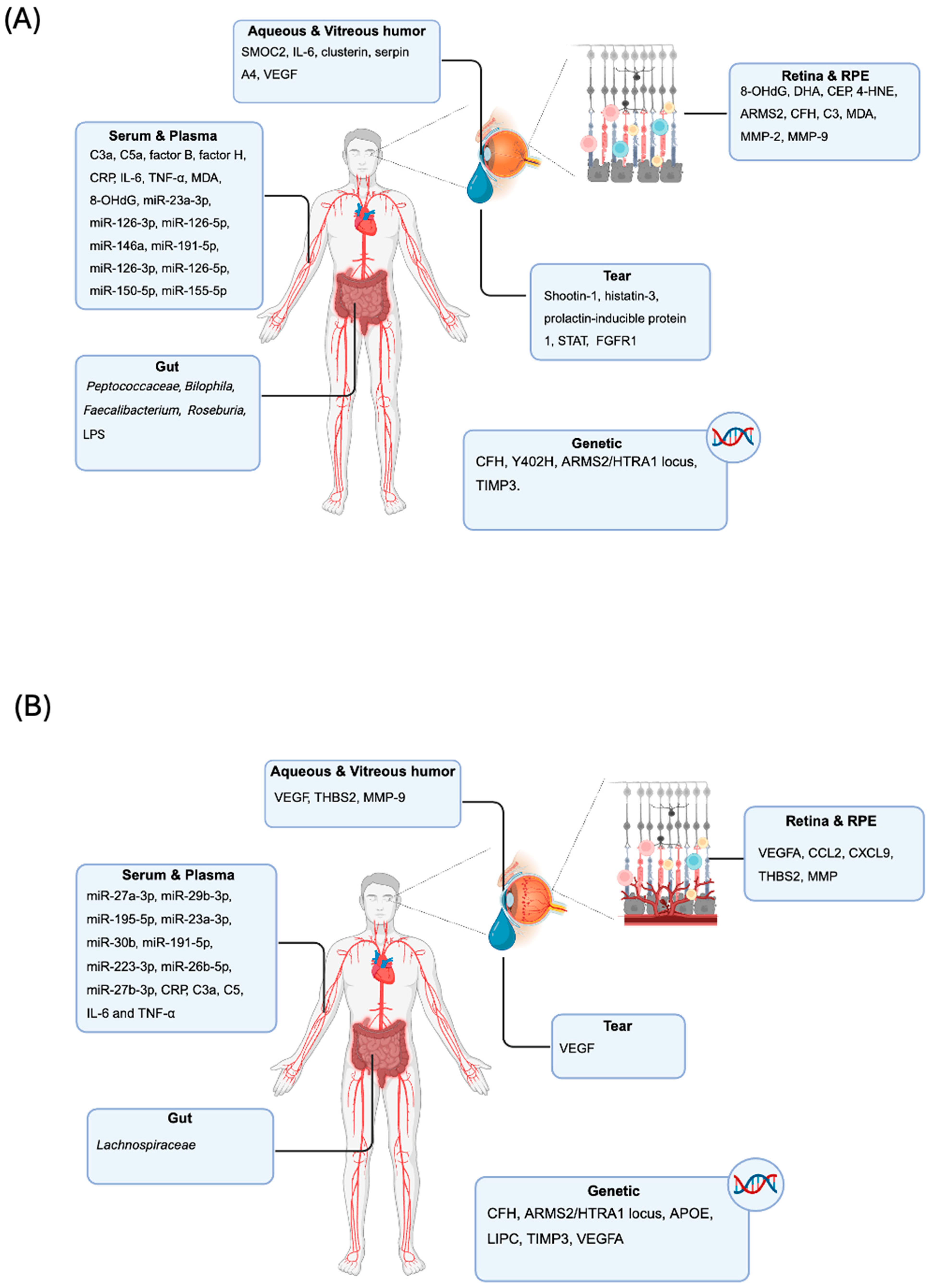 Biomolecules 15 01571 g002 Biomolecules 15 01571 g002