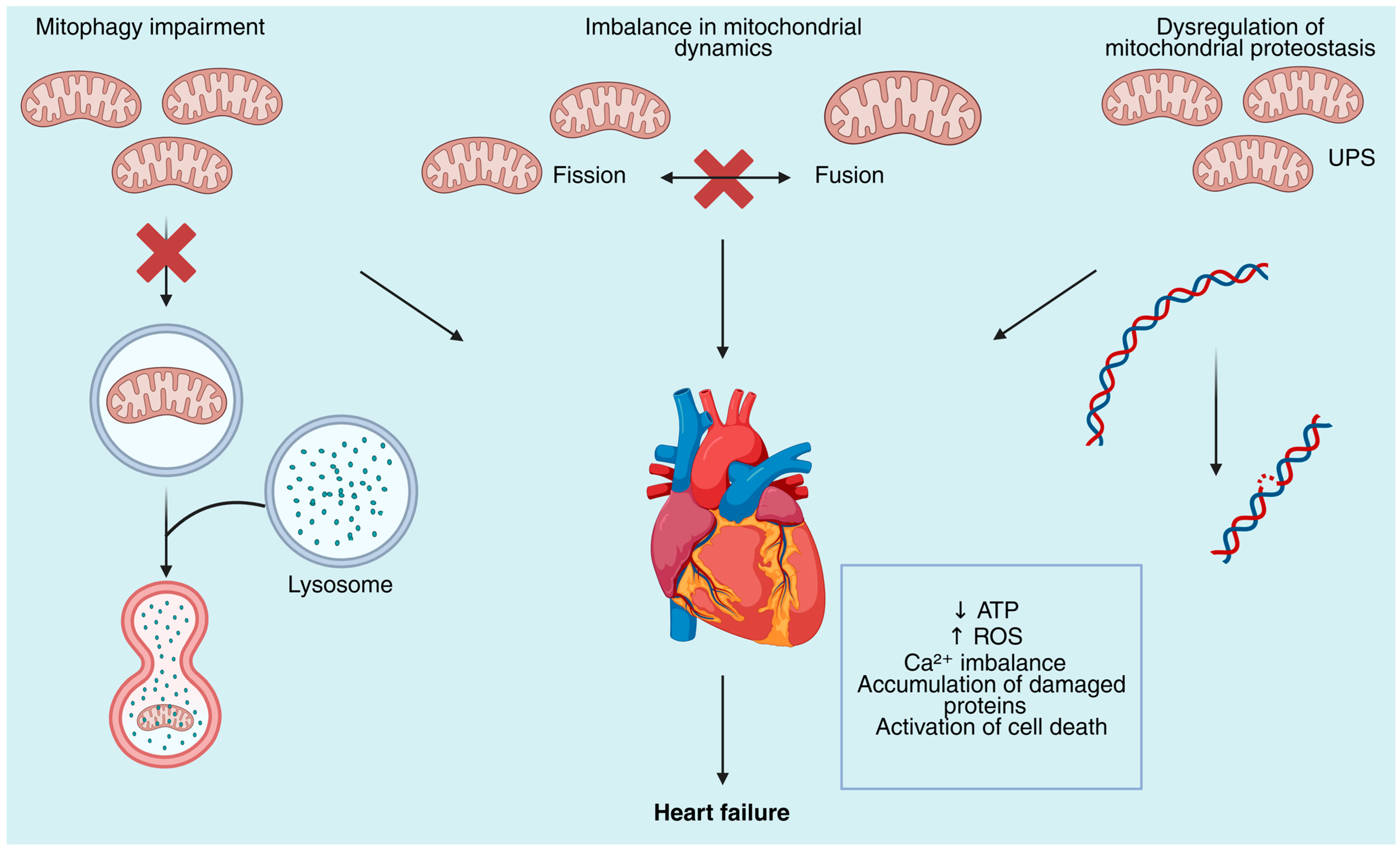 Biomolecules 15 01572 g001
