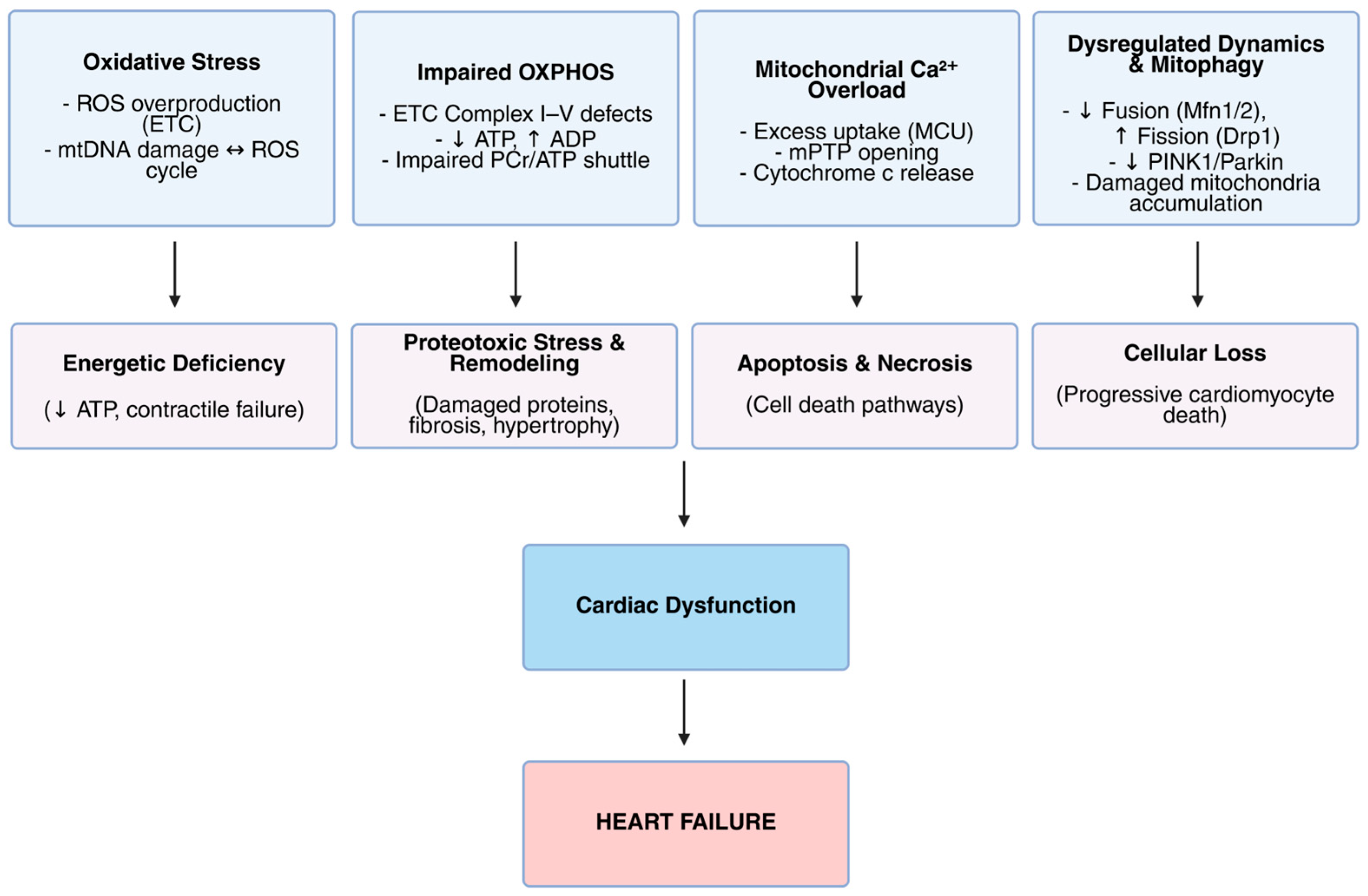 Biomolecules 15 01572 g002