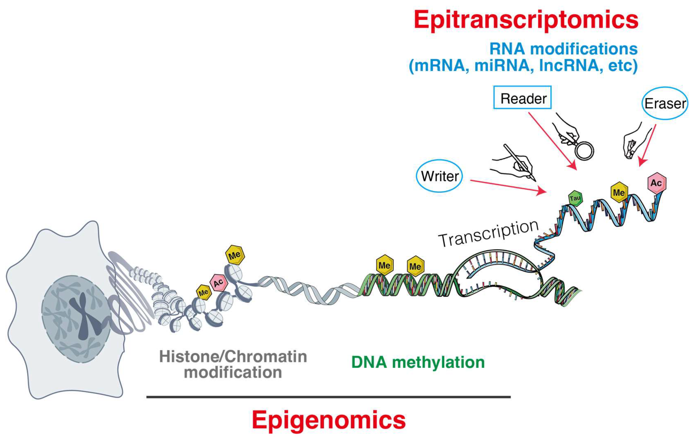 Biomolecules 15 01573 g001