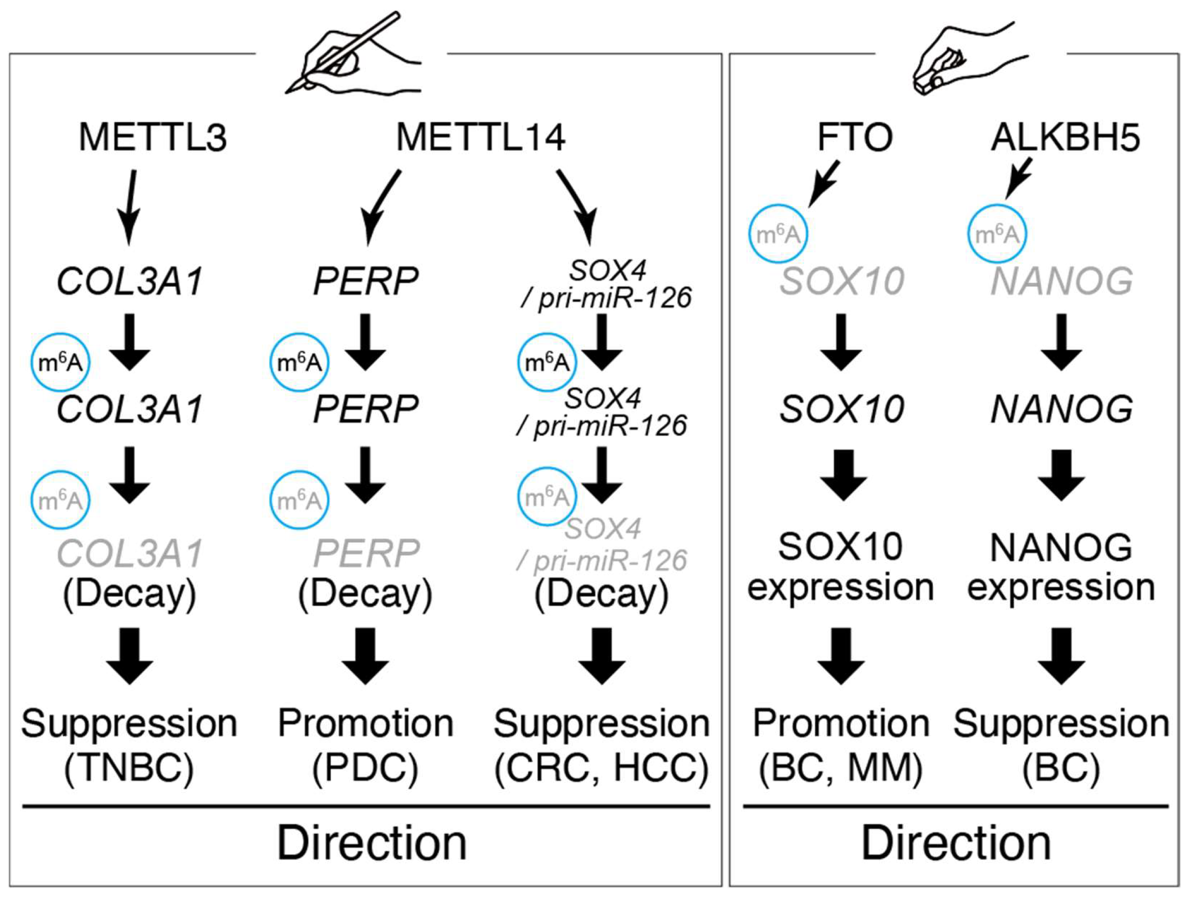 Biomolecules 15 01573 g002