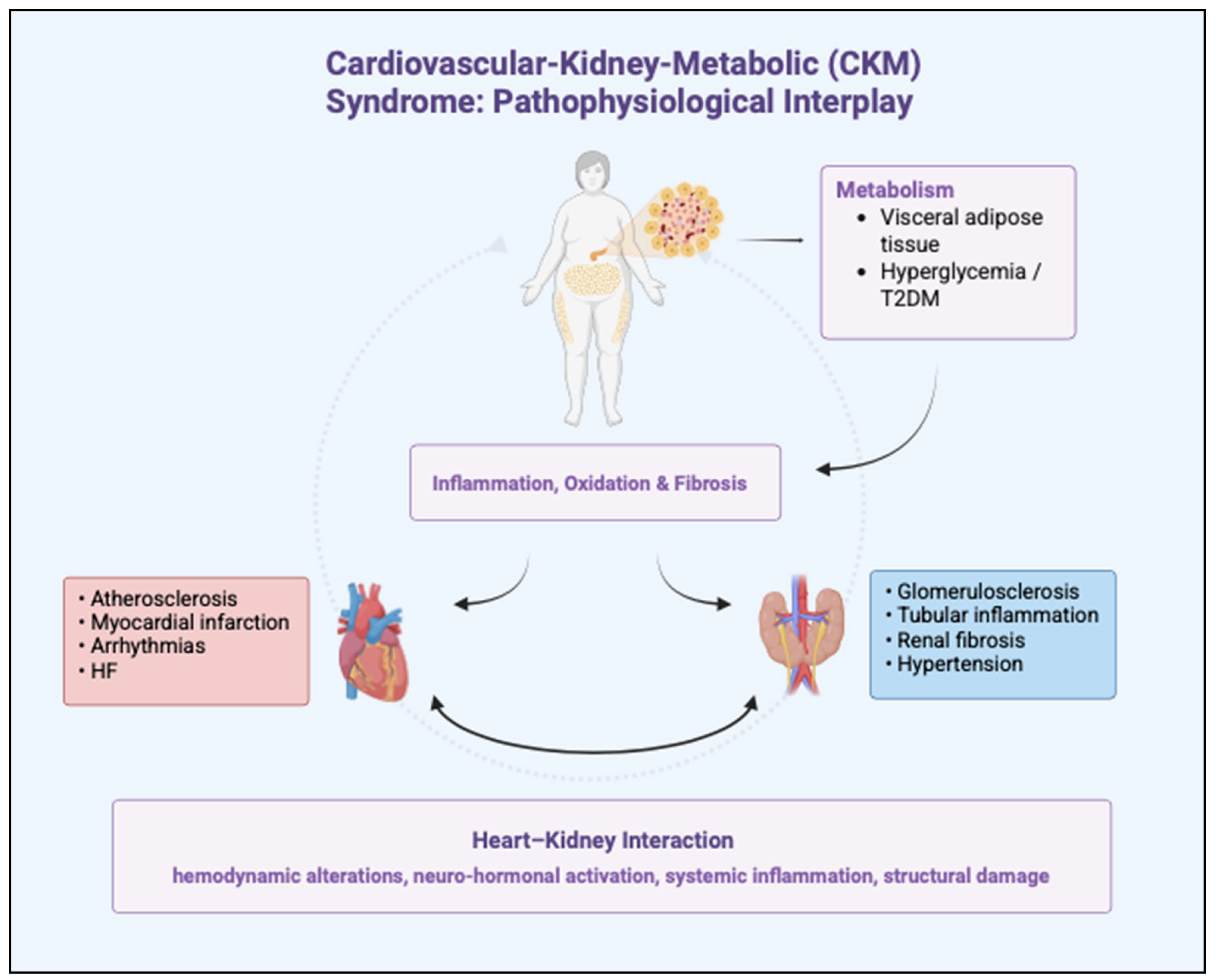 Biomolecules 15 01574 g001