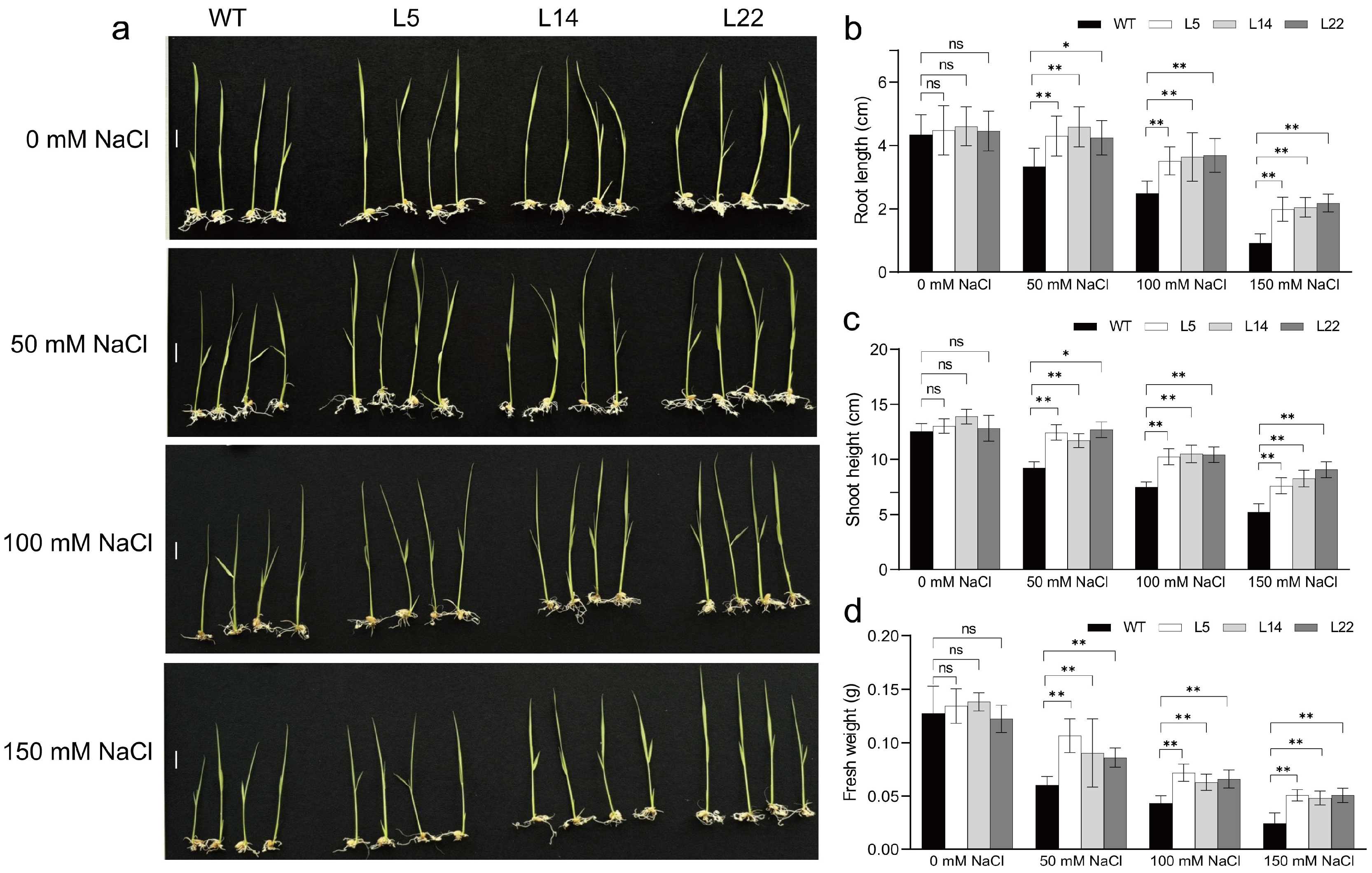 Biomolecules 15 01576 g005