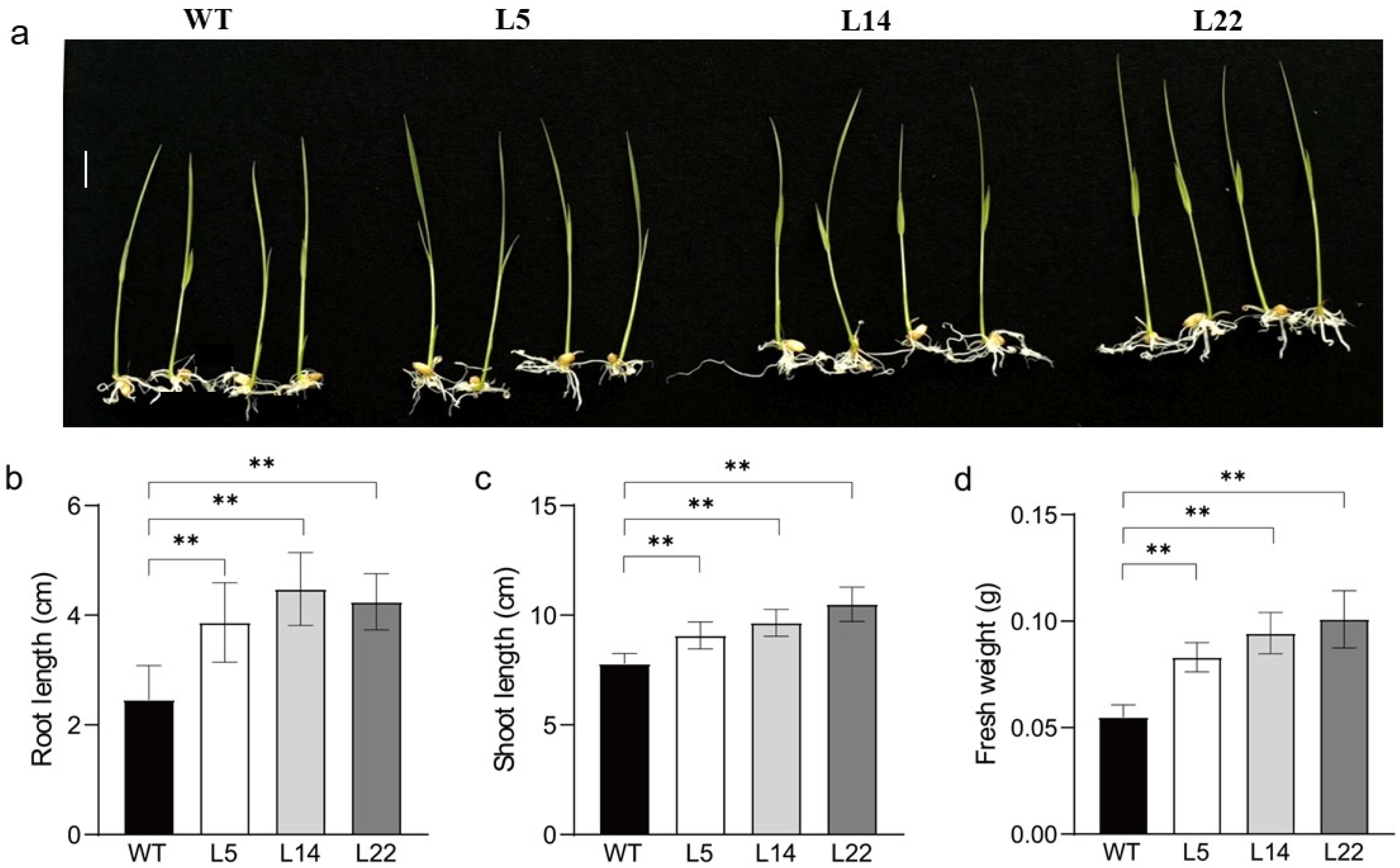 Biomolecules 15 01576 g006