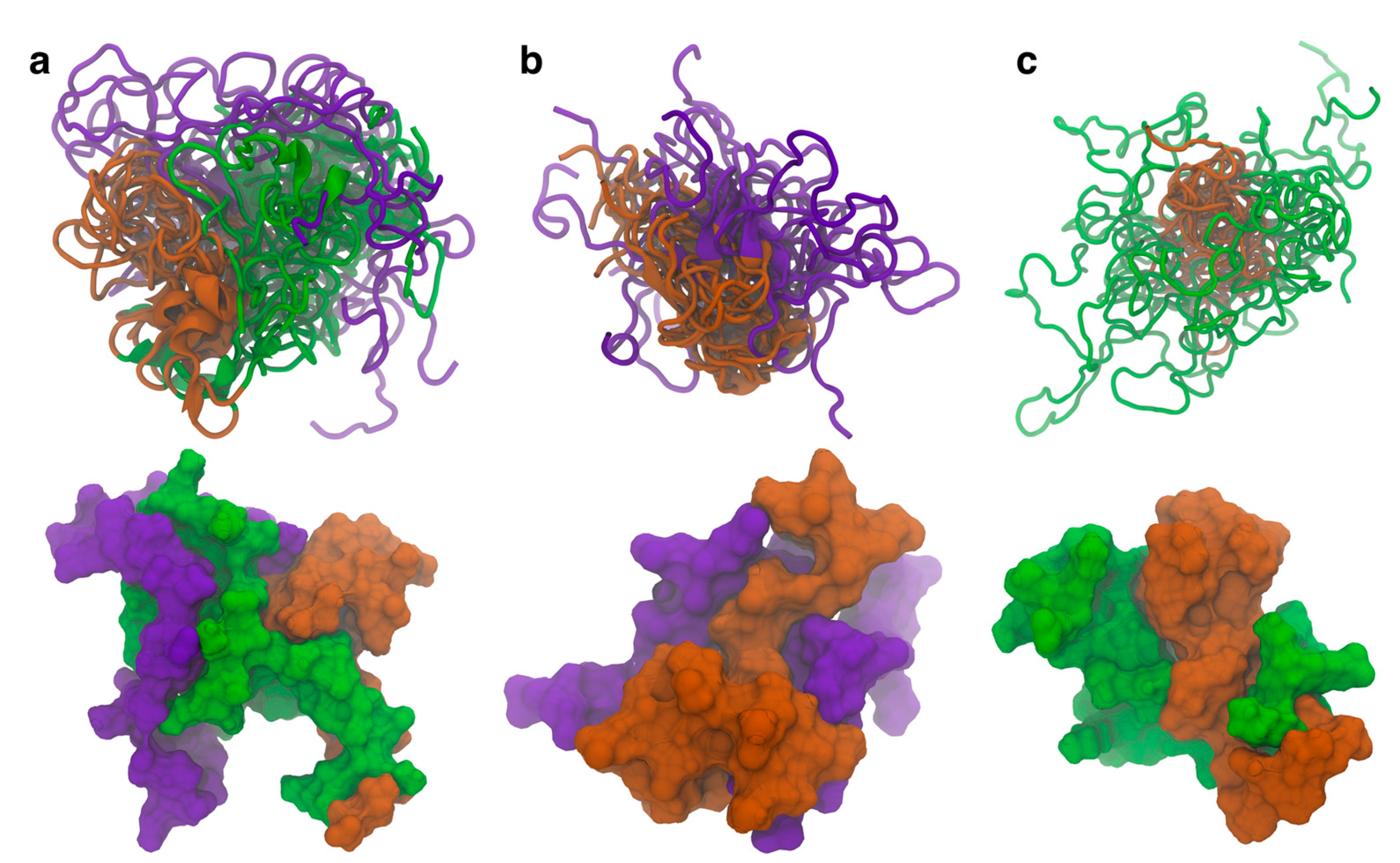 Biomolecules 15 01577 g002