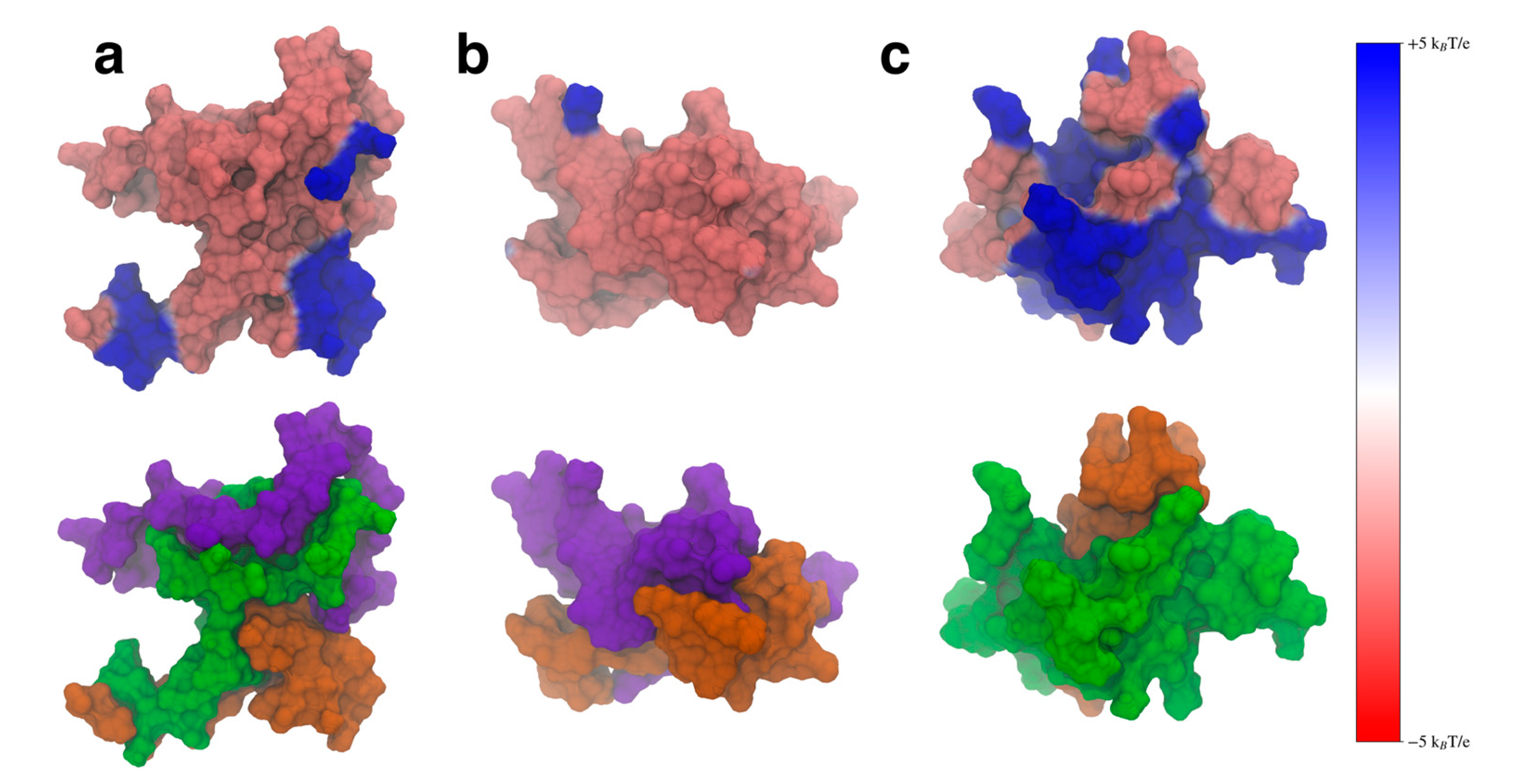 Biomolecules 15 01577 g010