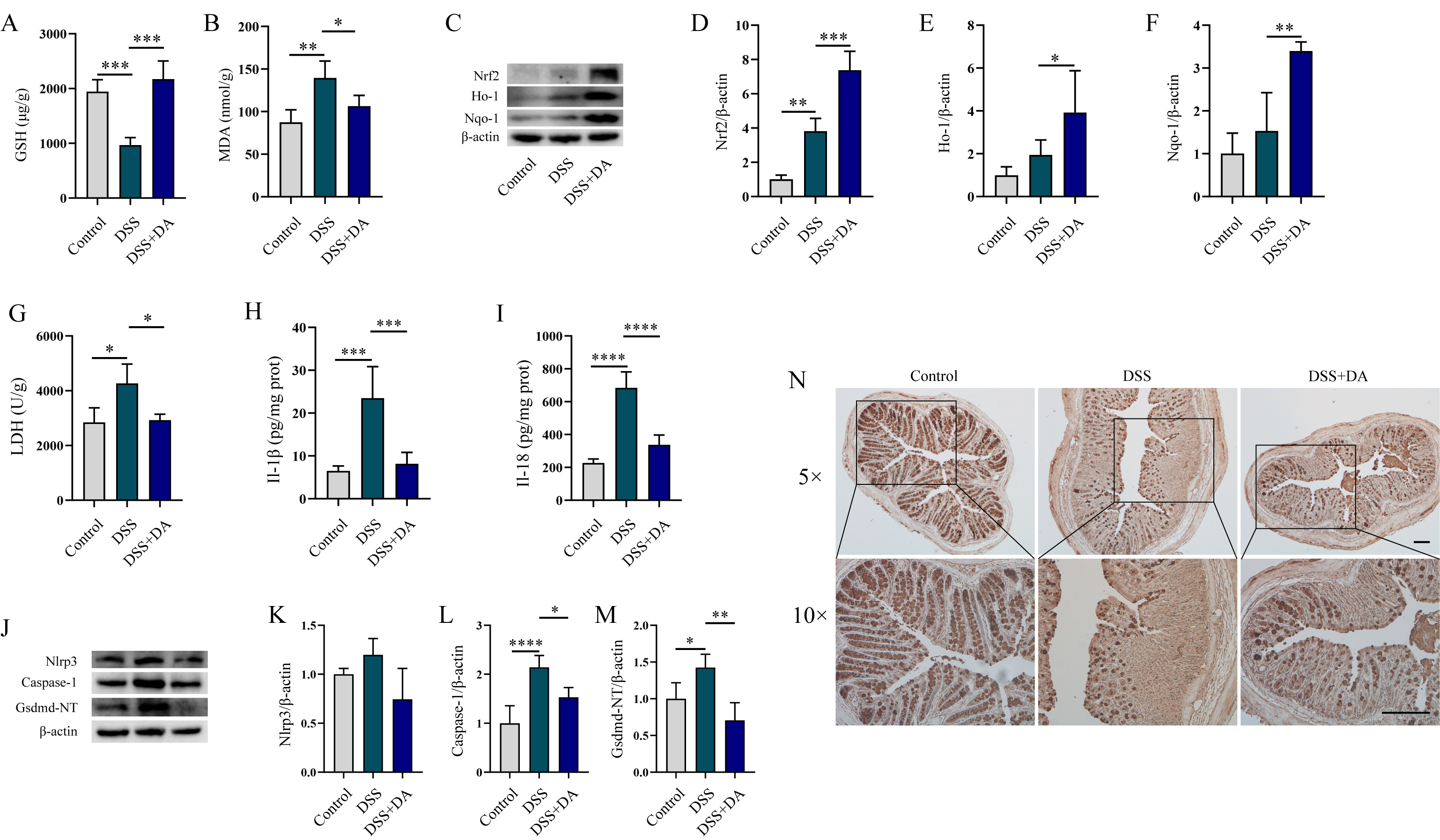 Biomolecules 15 01580 g004