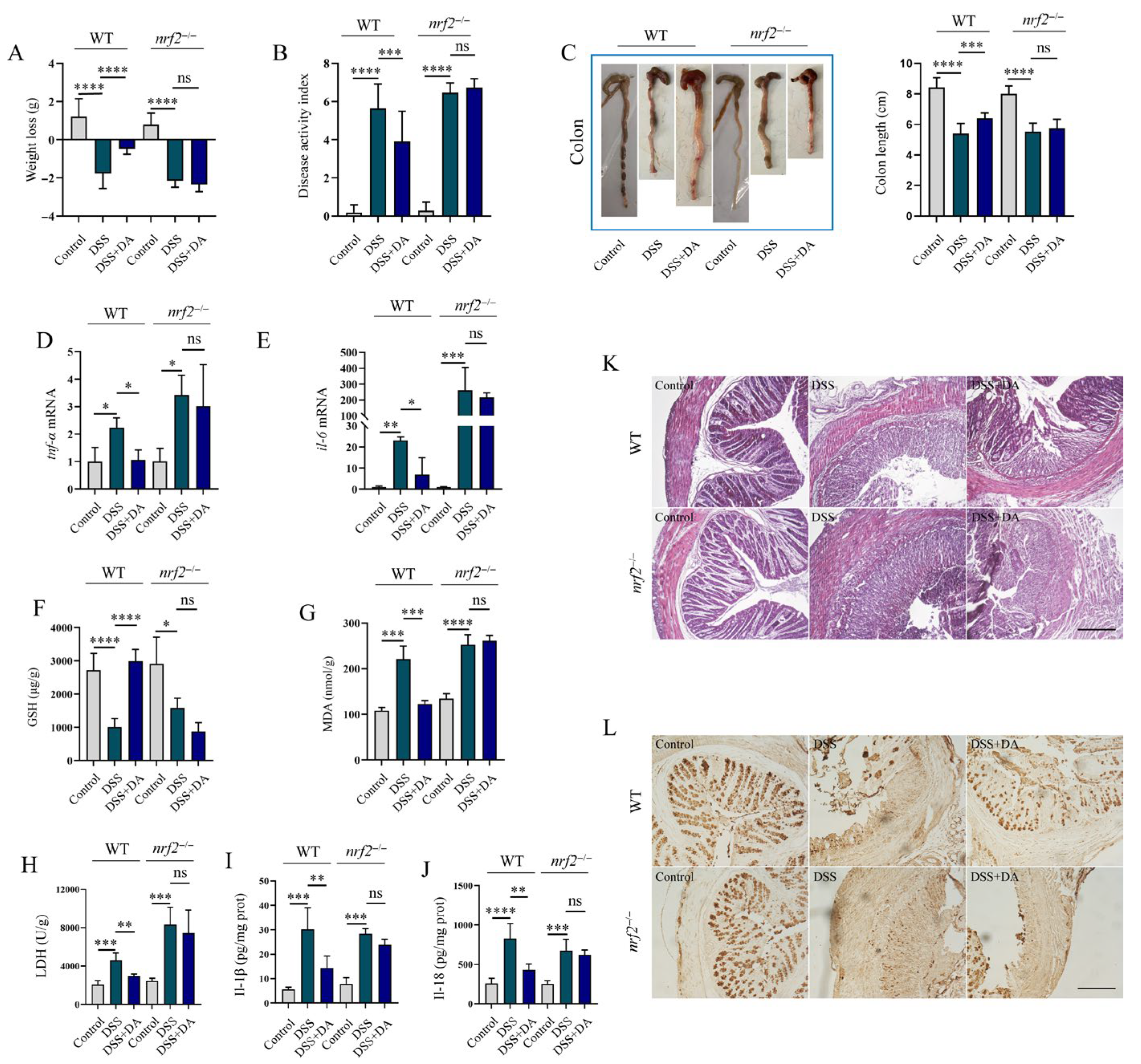 Biomolecules 15 01580 g005