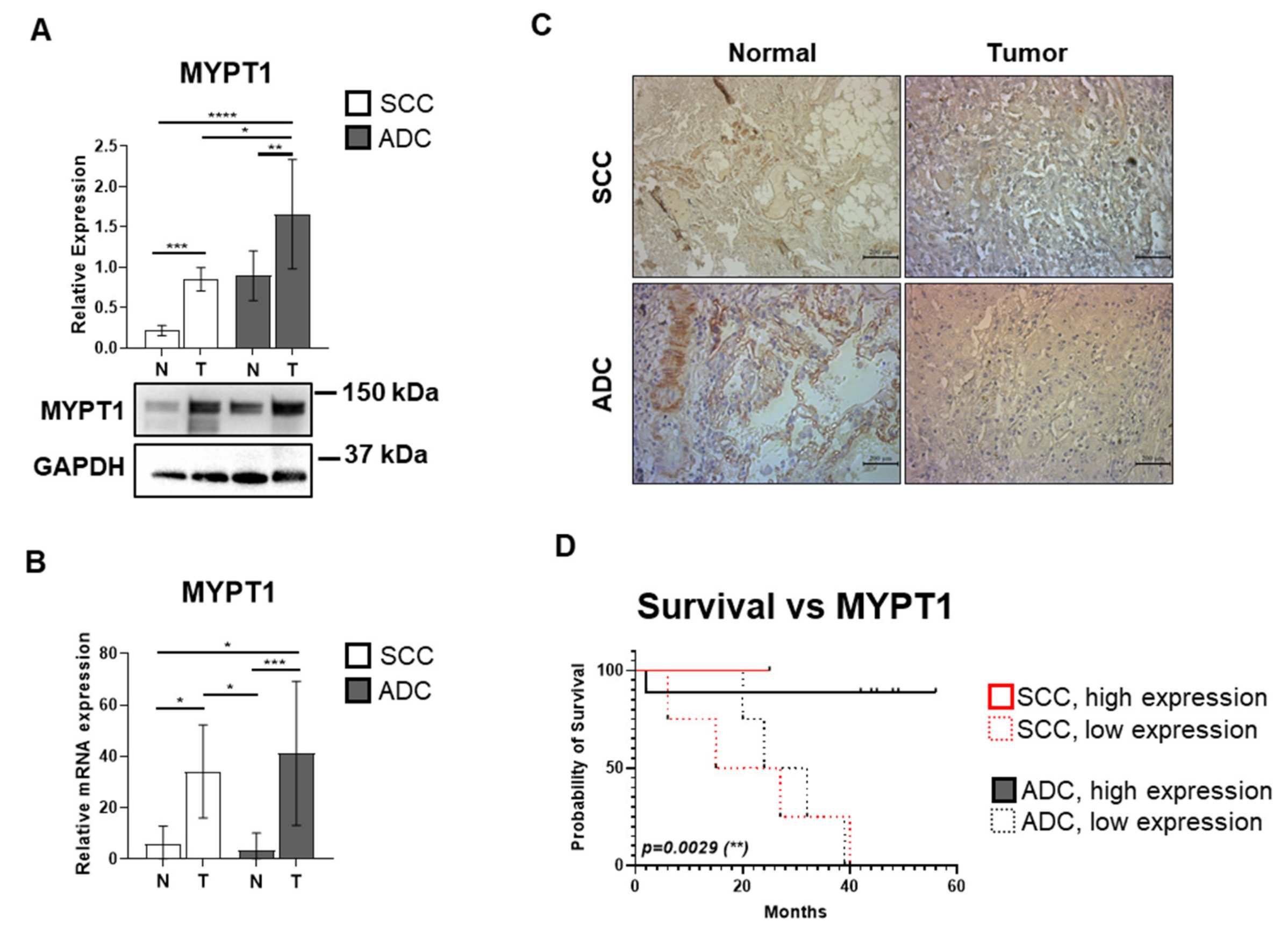 Biomolecules 15 01581 g002