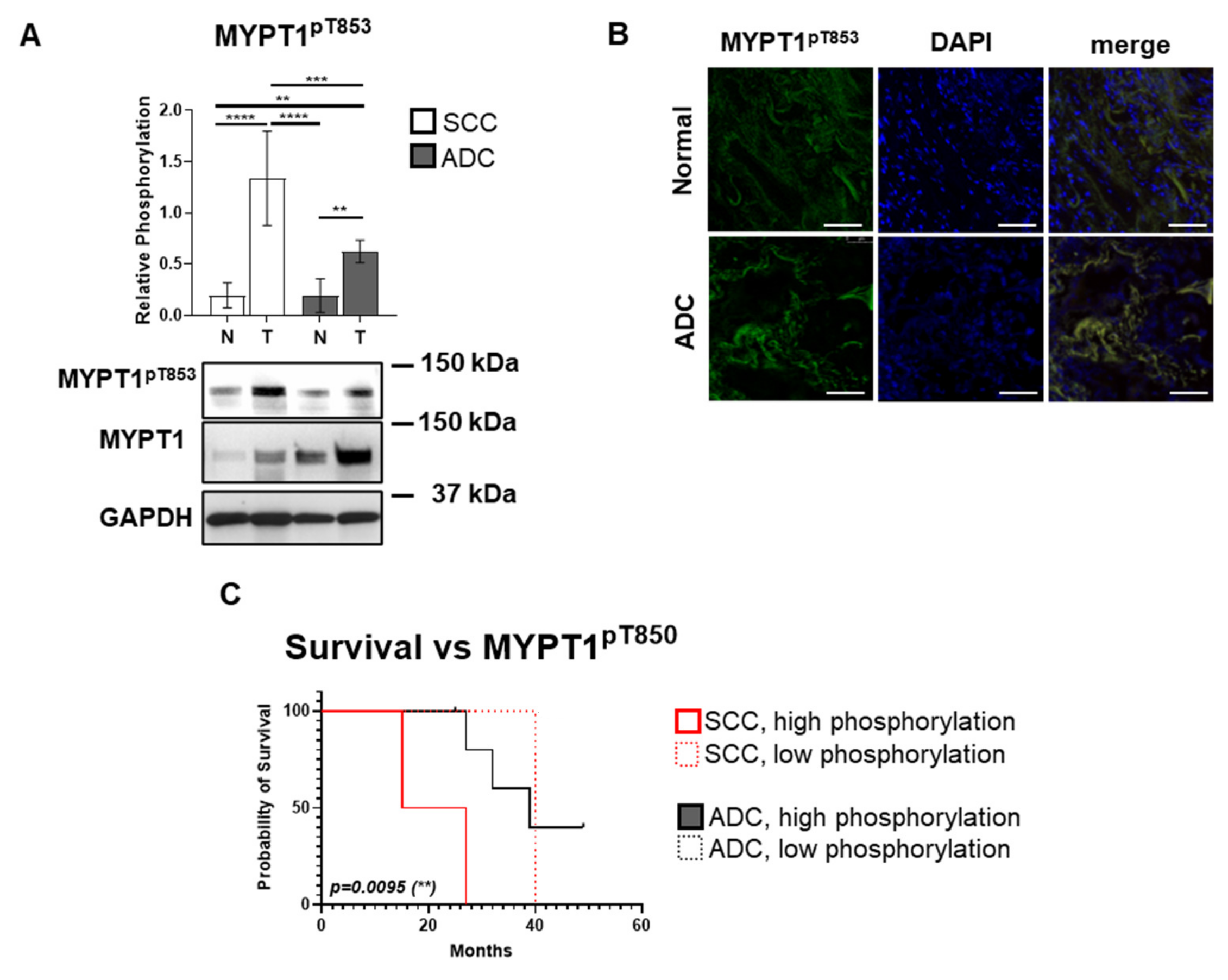 Biomolecules 15 01581 g003