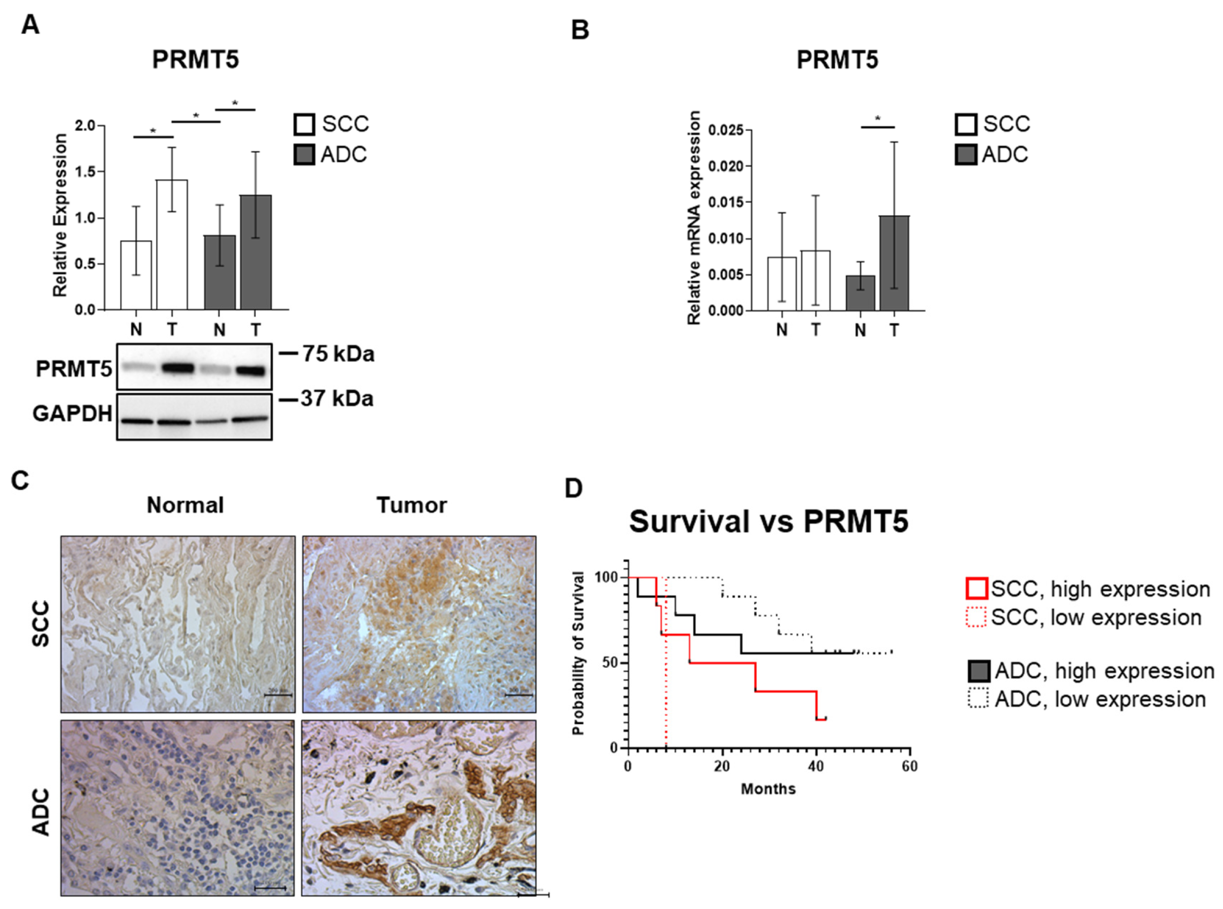 Biomolecules 15 01581 g004