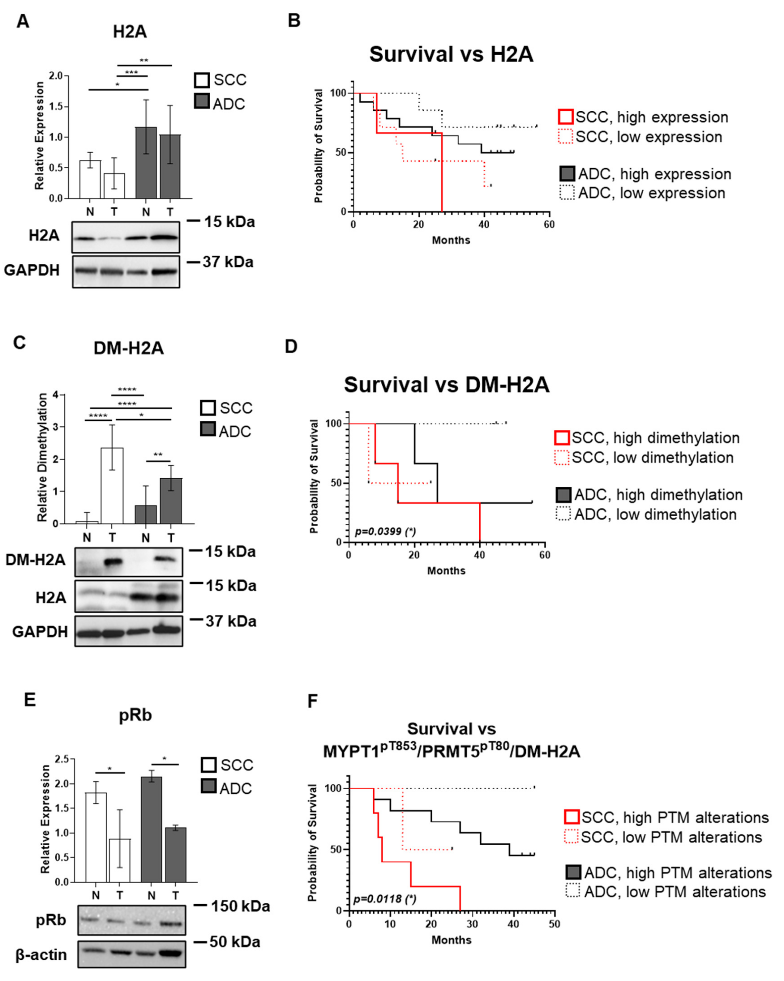 Biomolecules 15 01581 g006