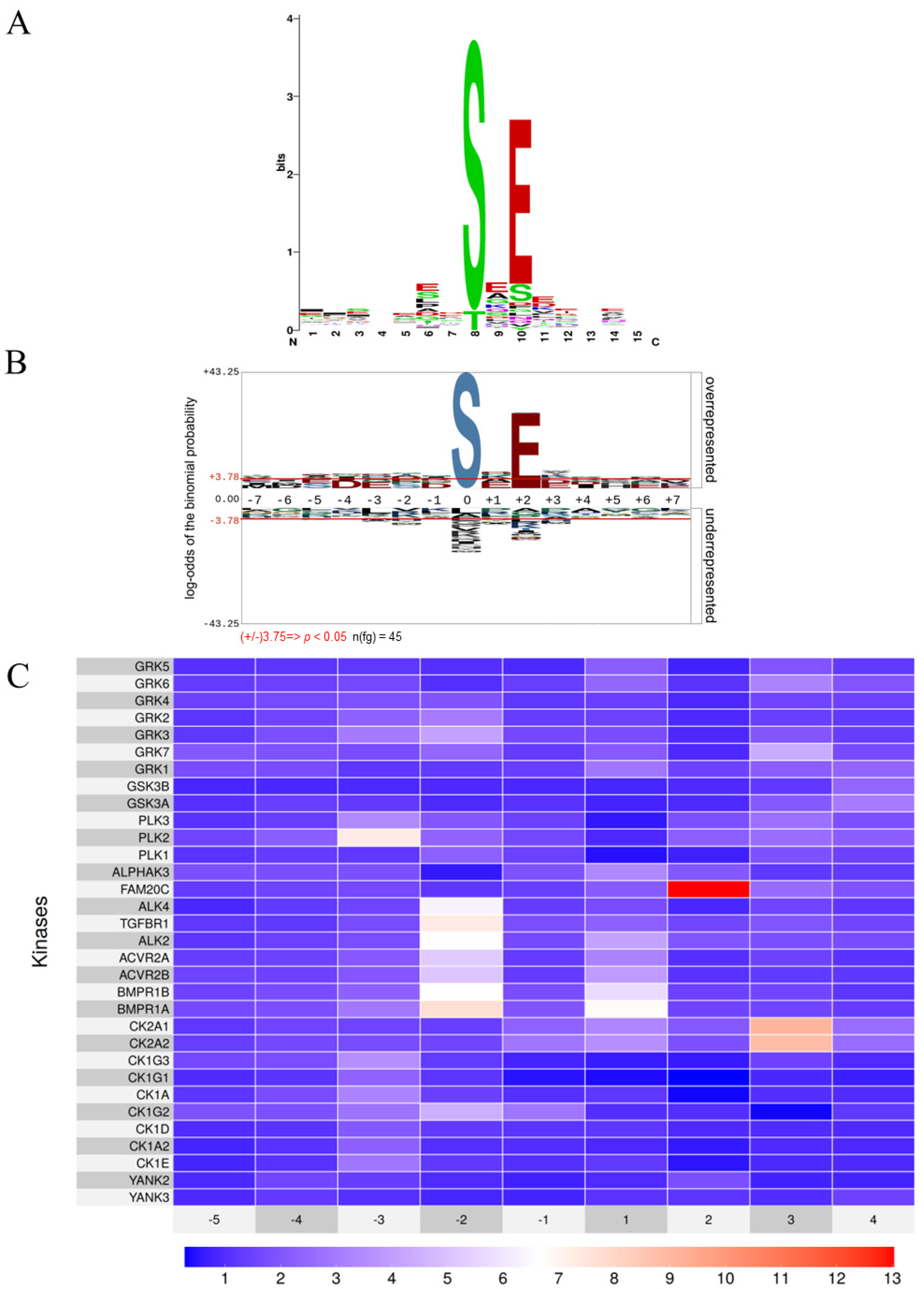 Biomolecules 15 01582 g001