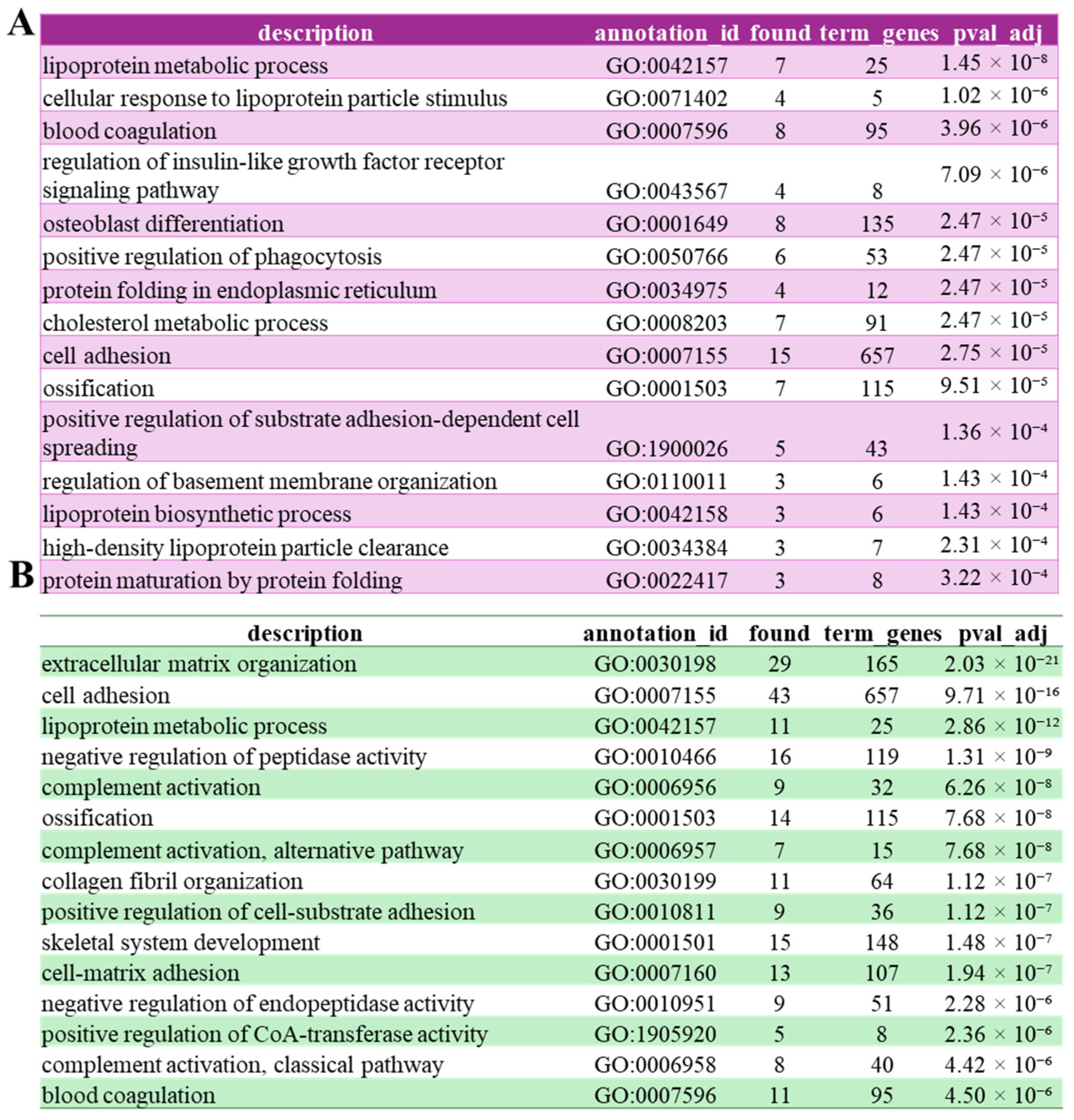 Biomolecules 15 01582 g004