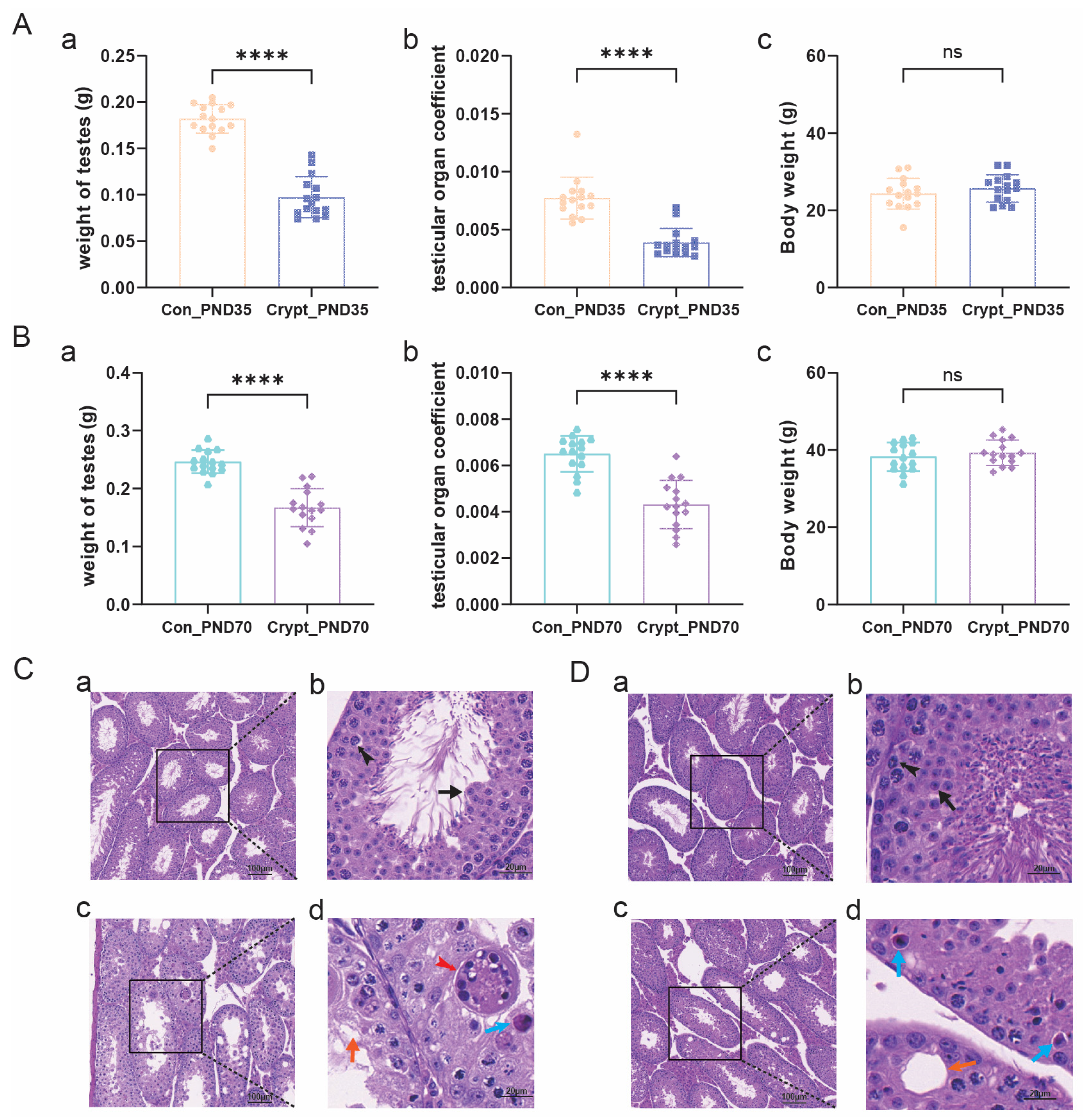 Biomolecules 15 01584 g001
