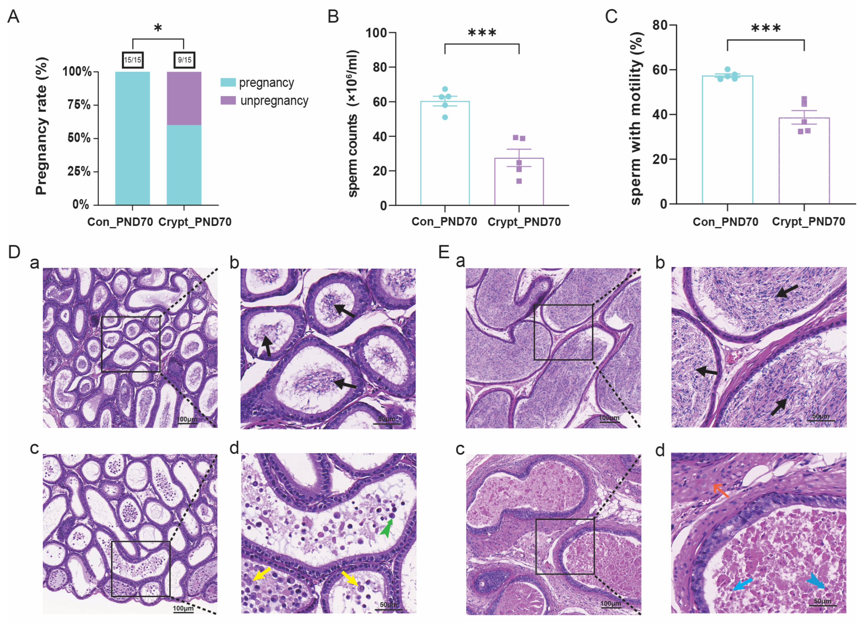 Biomolecules 15 01584 g002