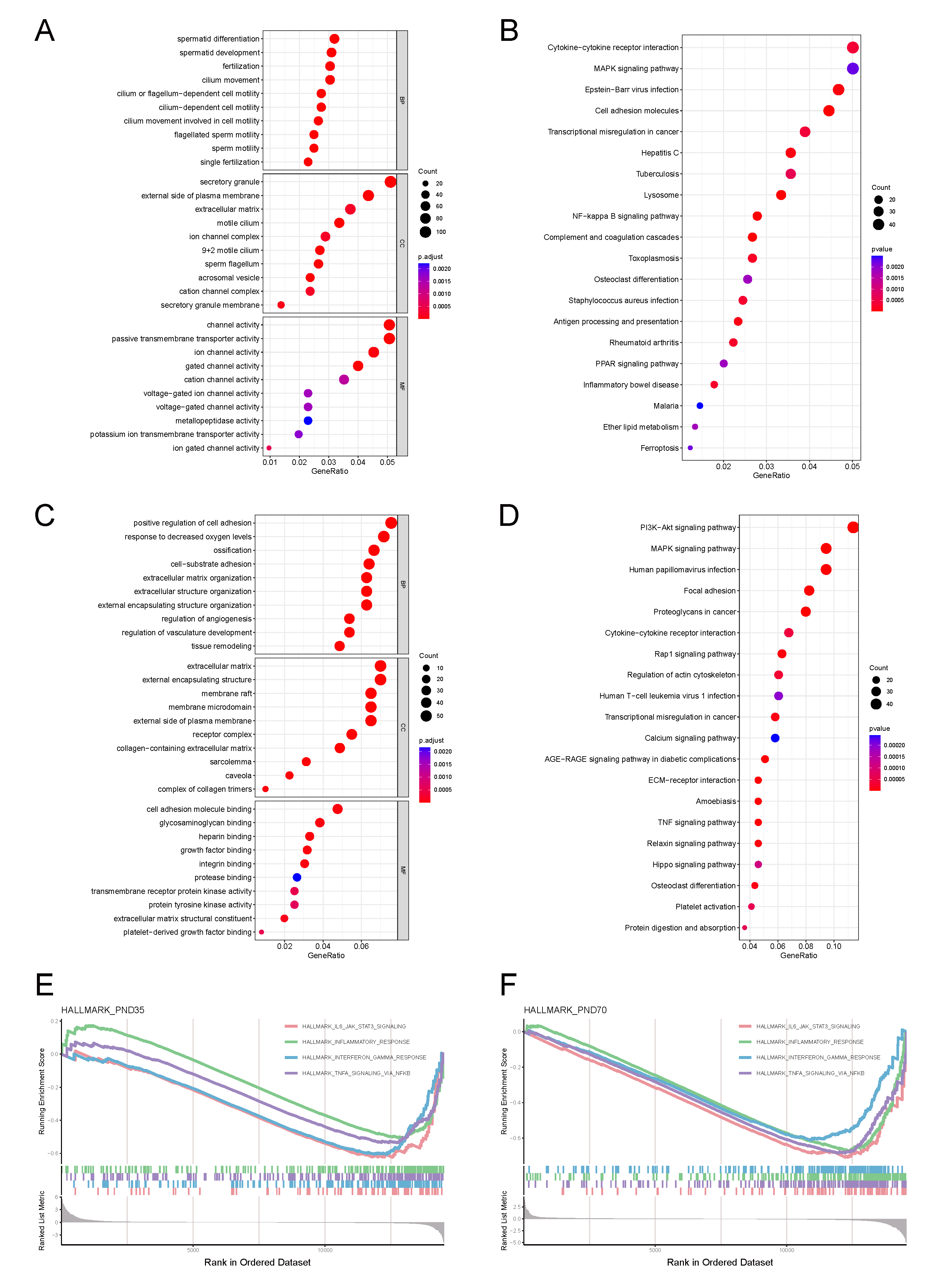 Biomolecules 15 01584 g003