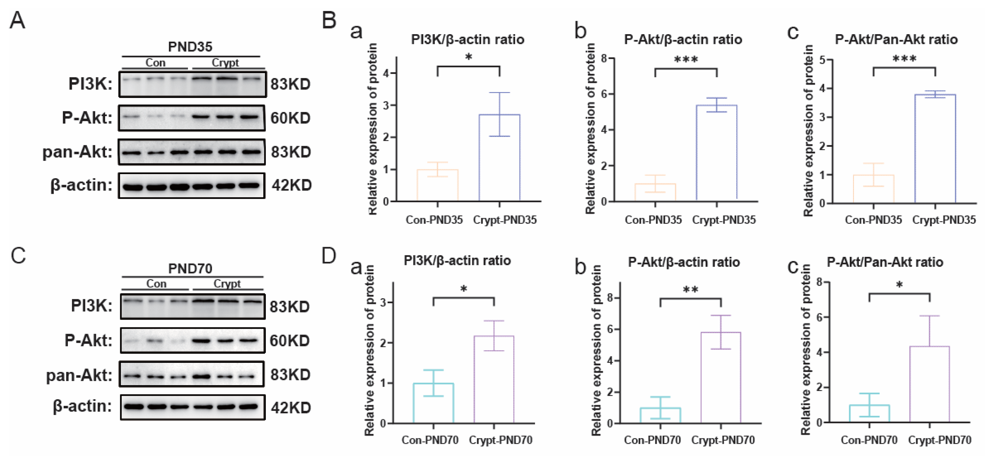 Biomolecules 15 01584 g004
