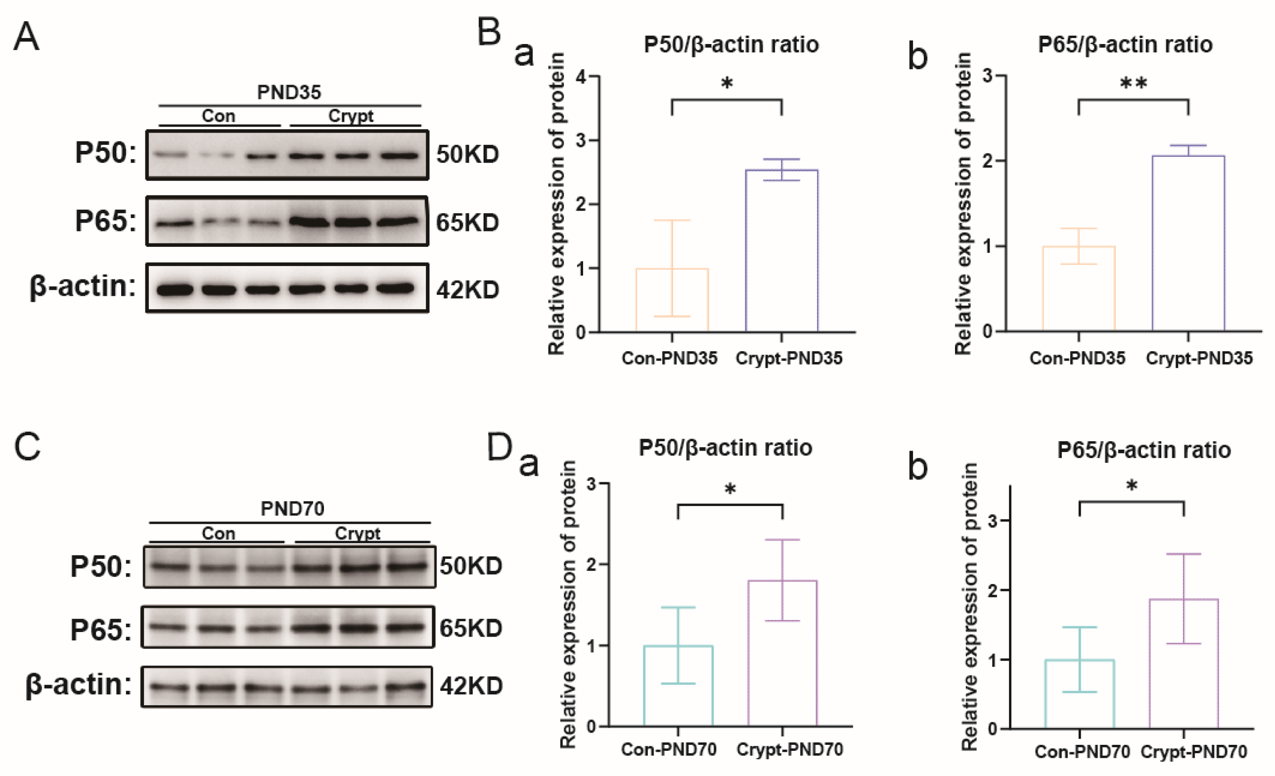 Biomolecules 15 01584 g005