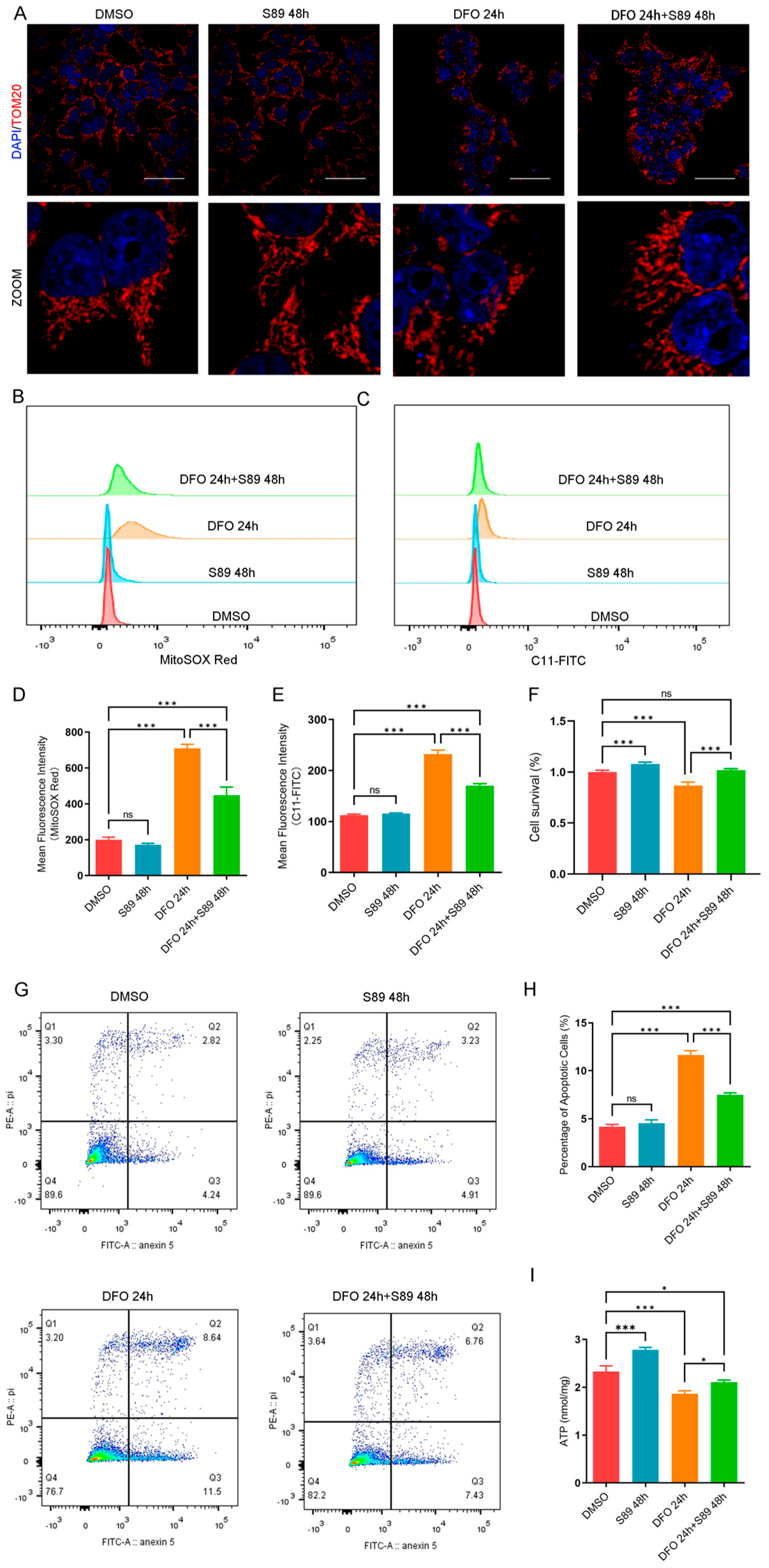 Biomolecules 15 01585 g002 Biomolecules 15 01585 g002