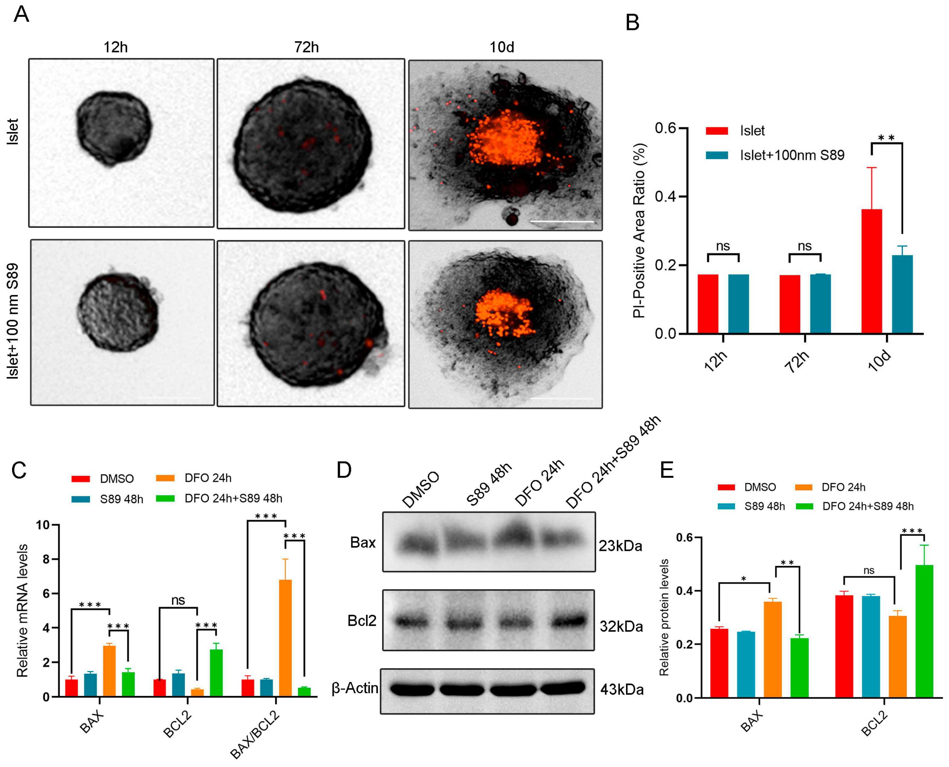 Biomolecules 15 01585 g003 Biomolecules 15 01585 g003