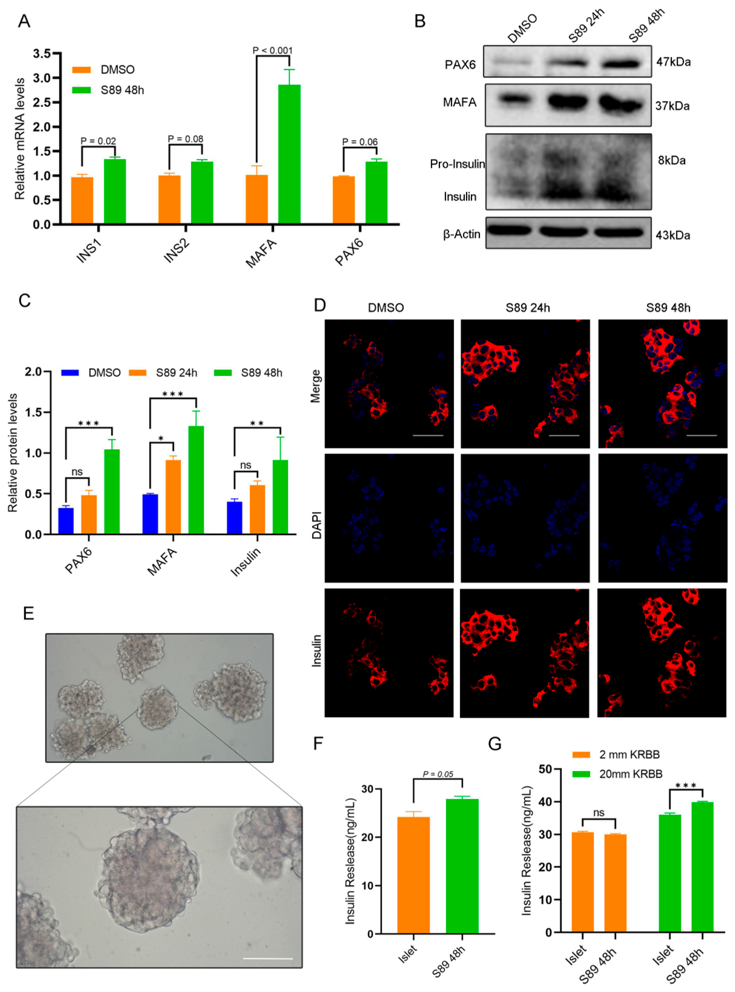 Biomolecules 15 01585 g004 Biomolecules 15 01585 g004