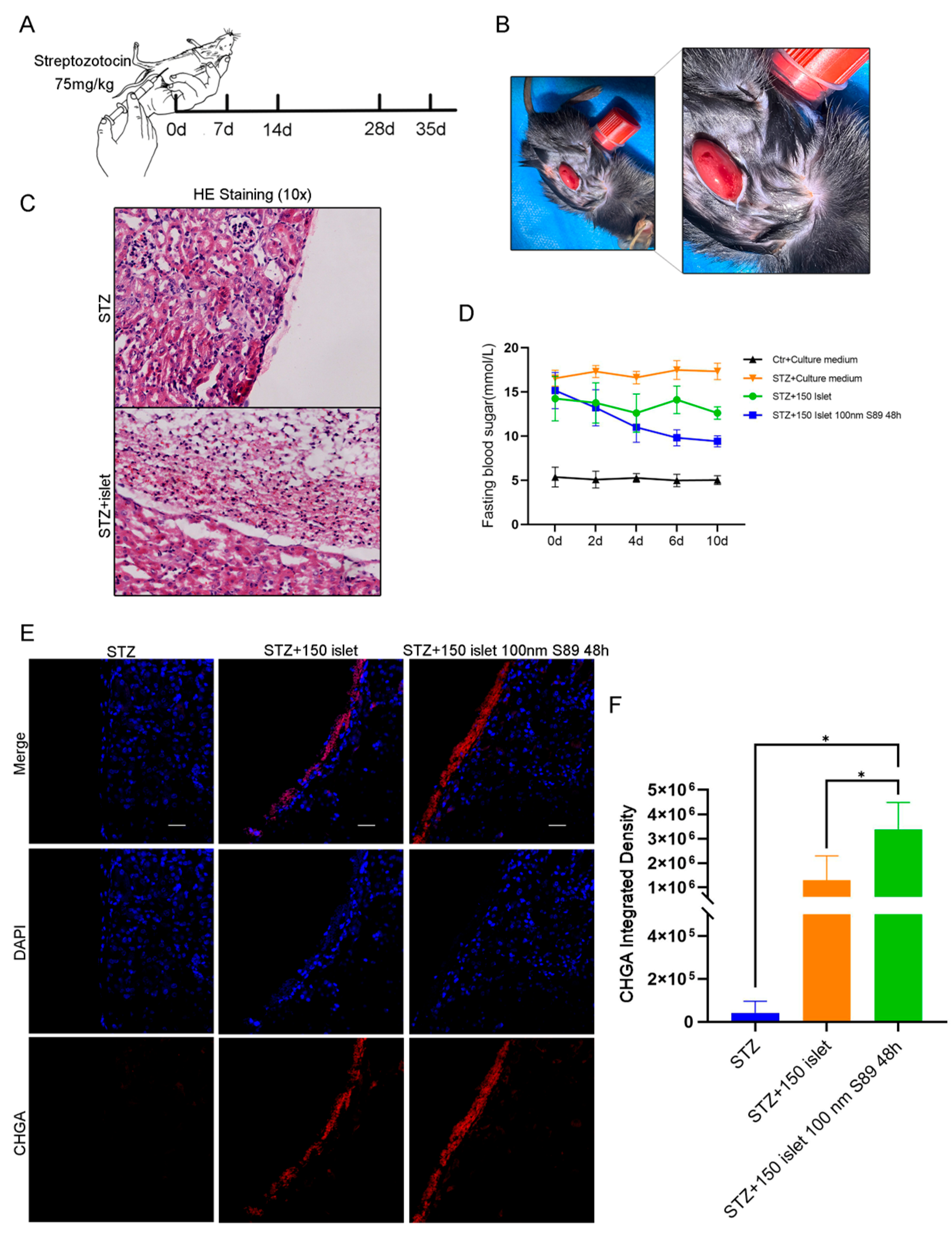 Biomolecules 15 01585 g005 Biomolecules 15 01585 g005