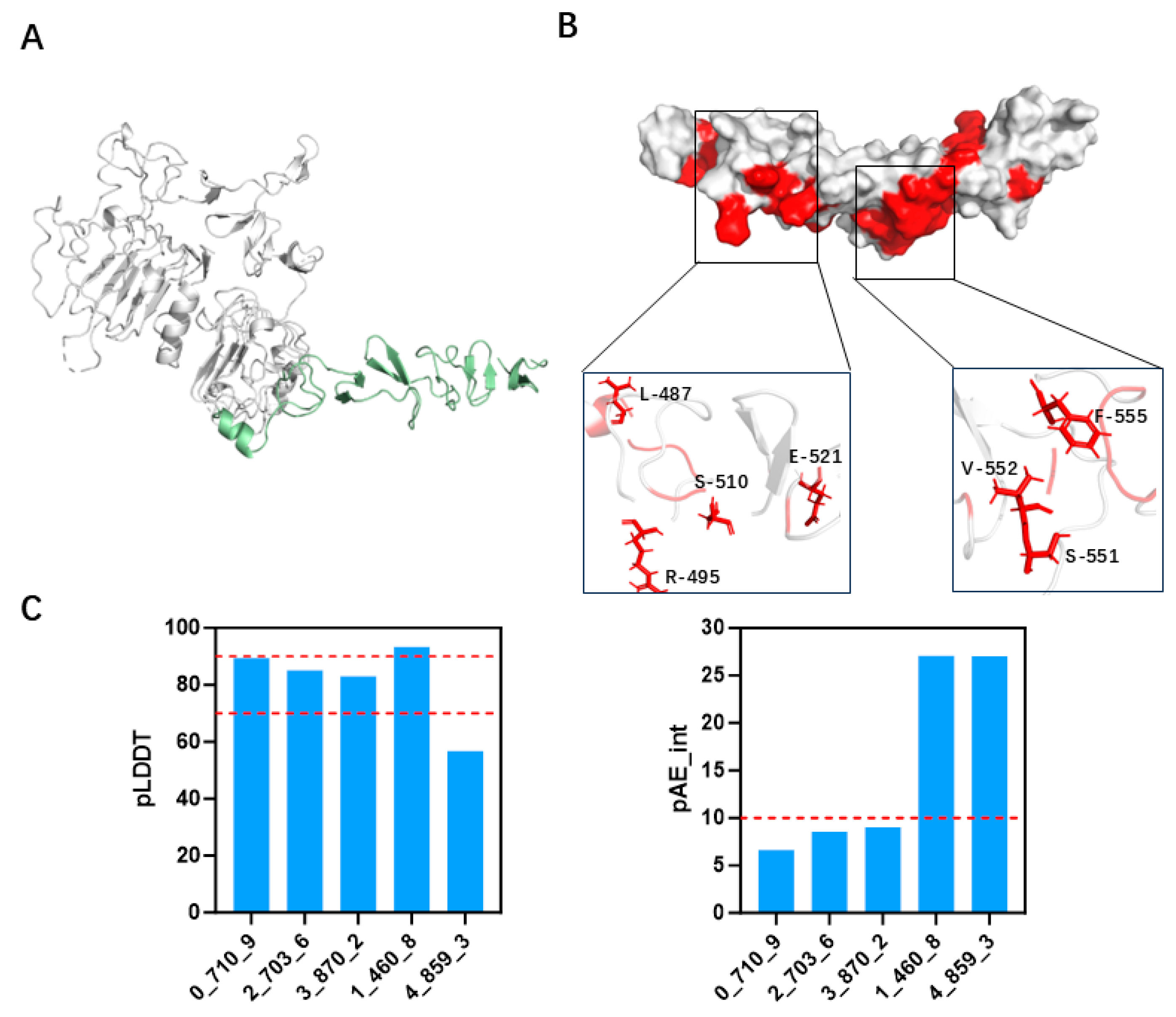 Biomolecules 15 01587 g002 Biomolecules 15 01587 g002