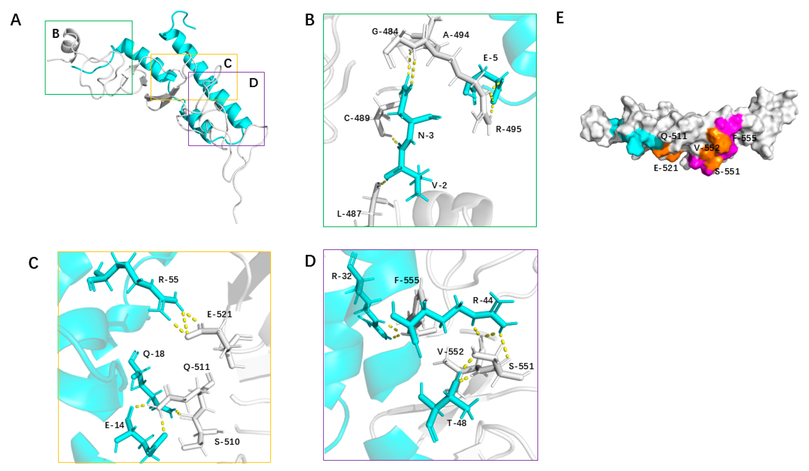 Biomolecules 15 01587 g006 Biomolecules 15 01587 g006