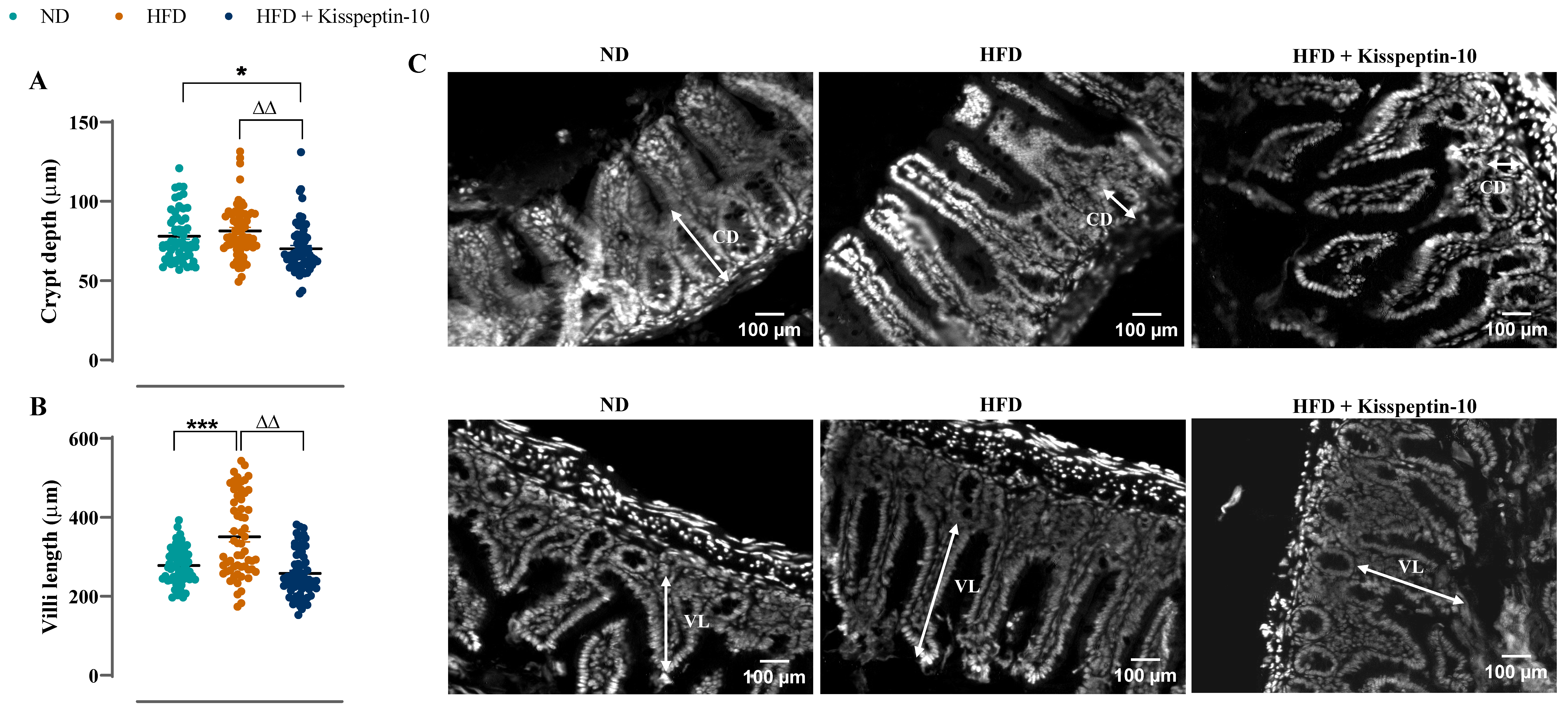 Biomolecules 15 01591 g003