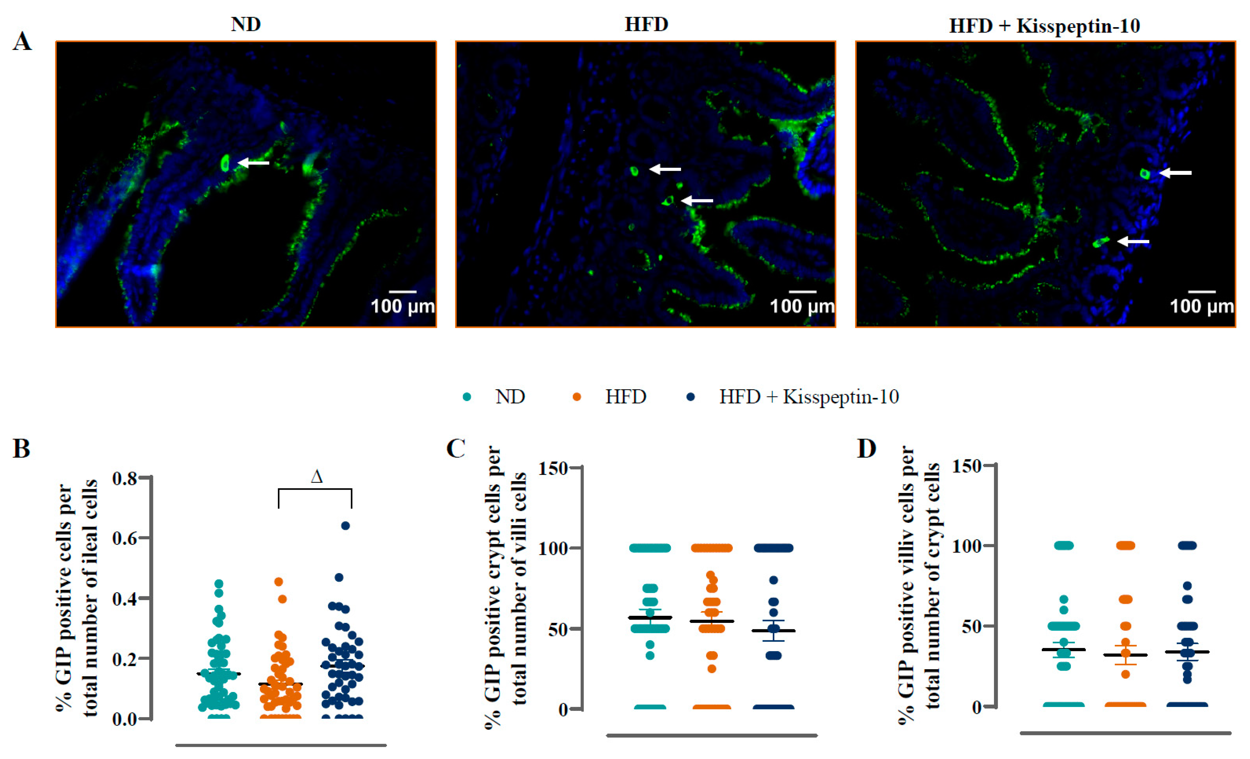 Biomolecules 15 01591 g004