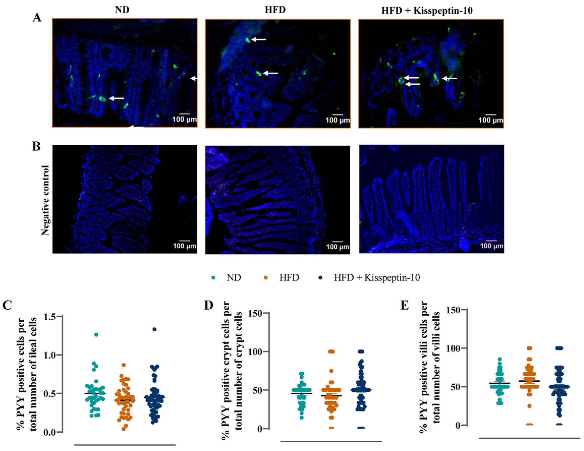 Biomolecules 15 01591 g006