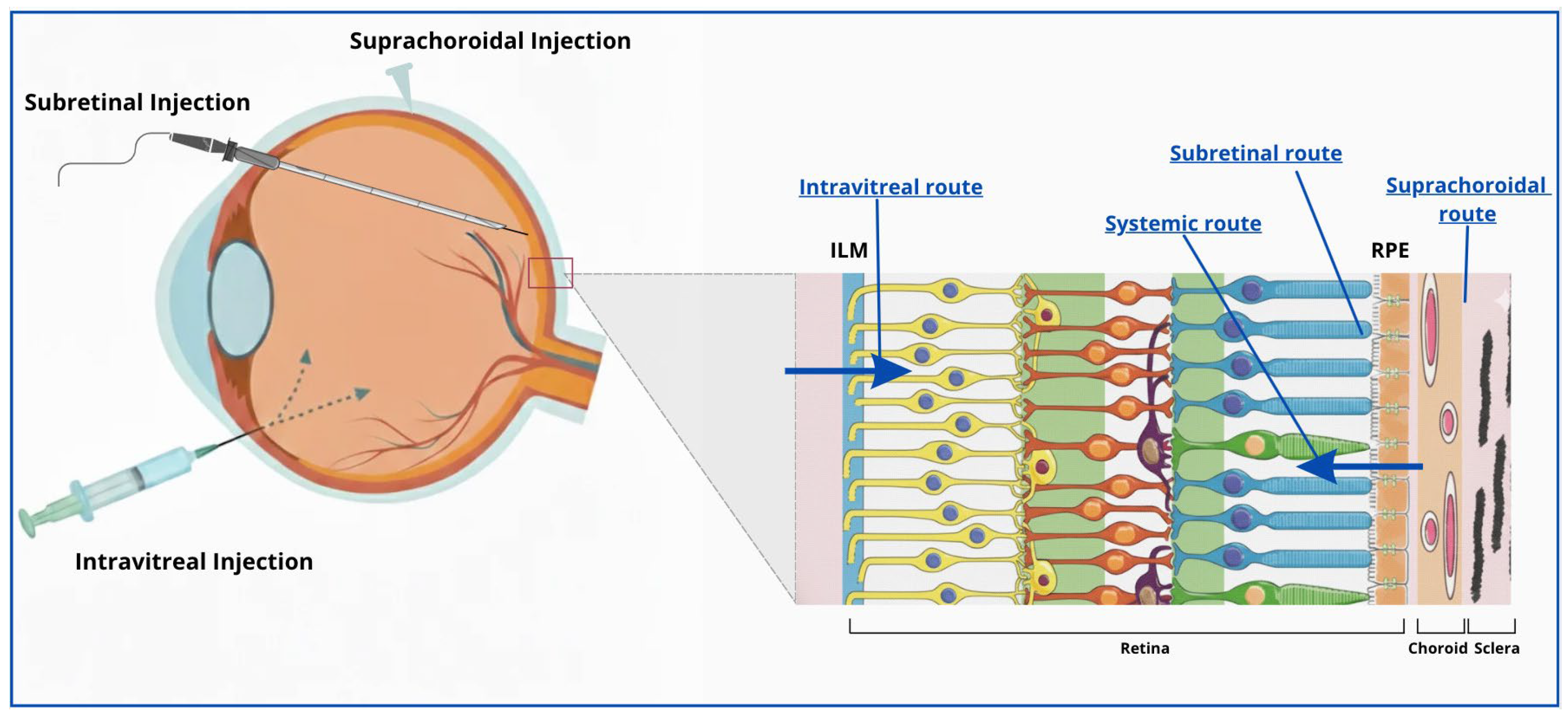 Biomolecules 15 01592 g001