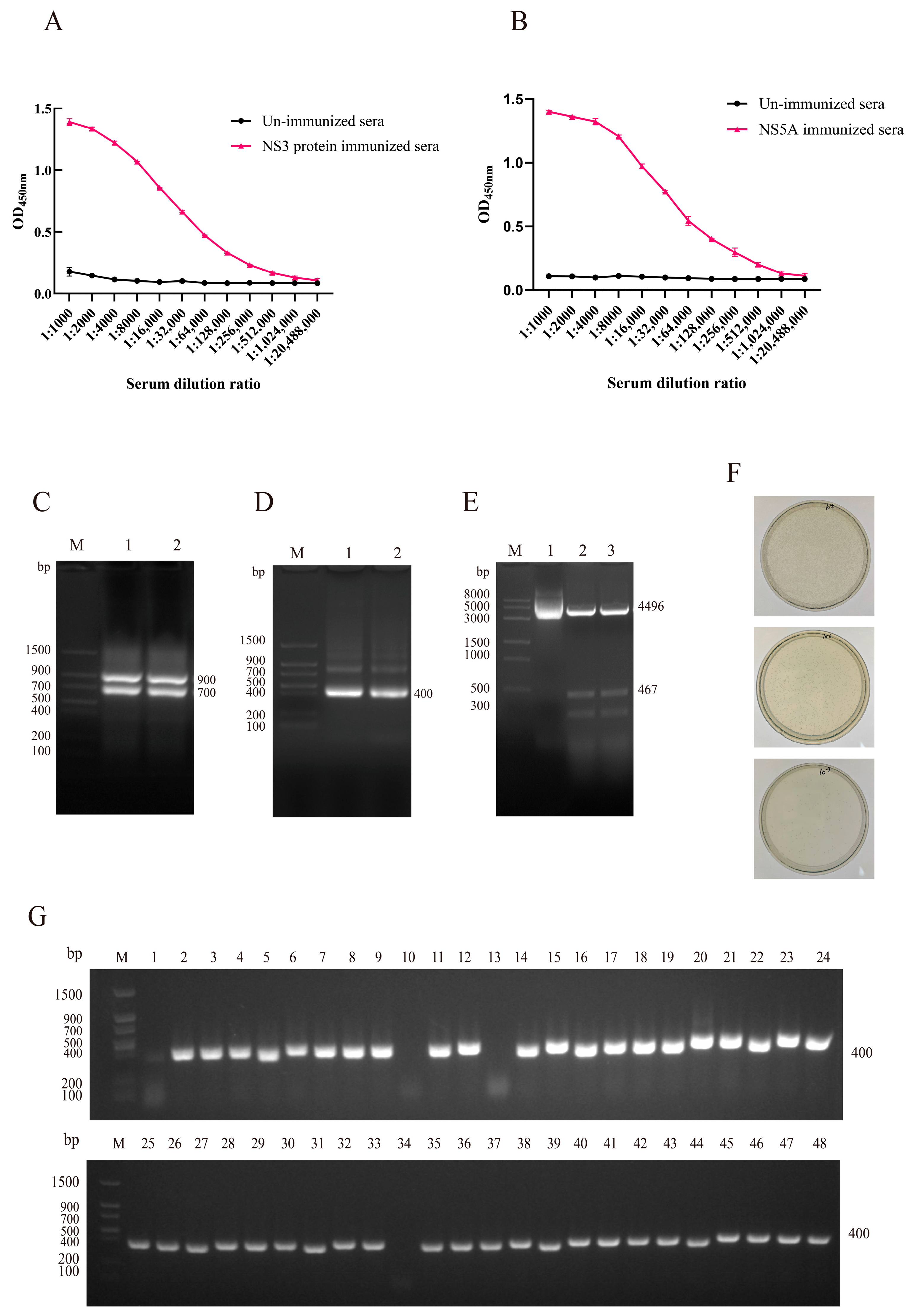 Biomolecules 15 01593 g002 Biomolecules 15 01593 g002