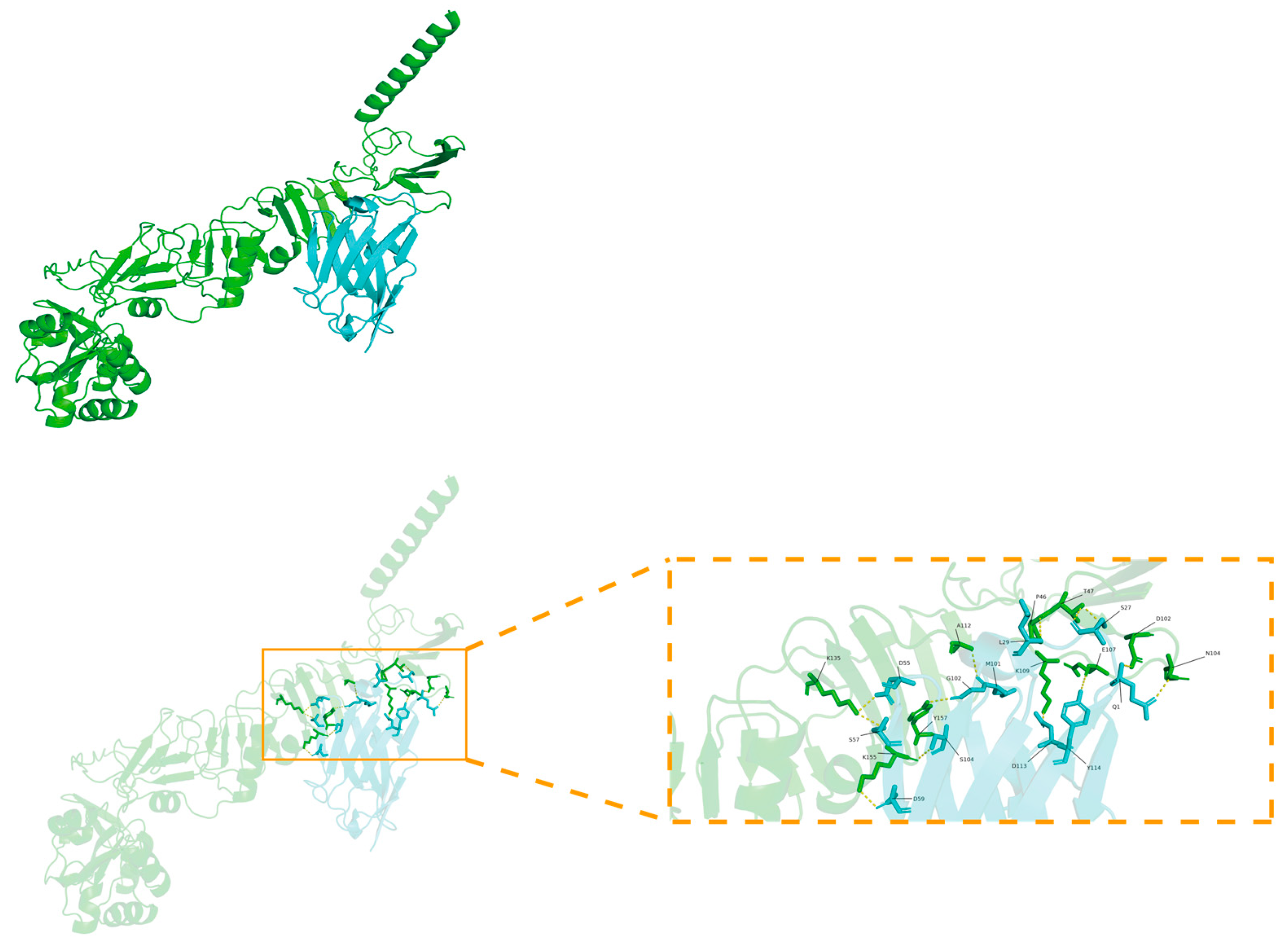 Biomolecules 15 01593 g007 Biomolecules 15 01593 g007