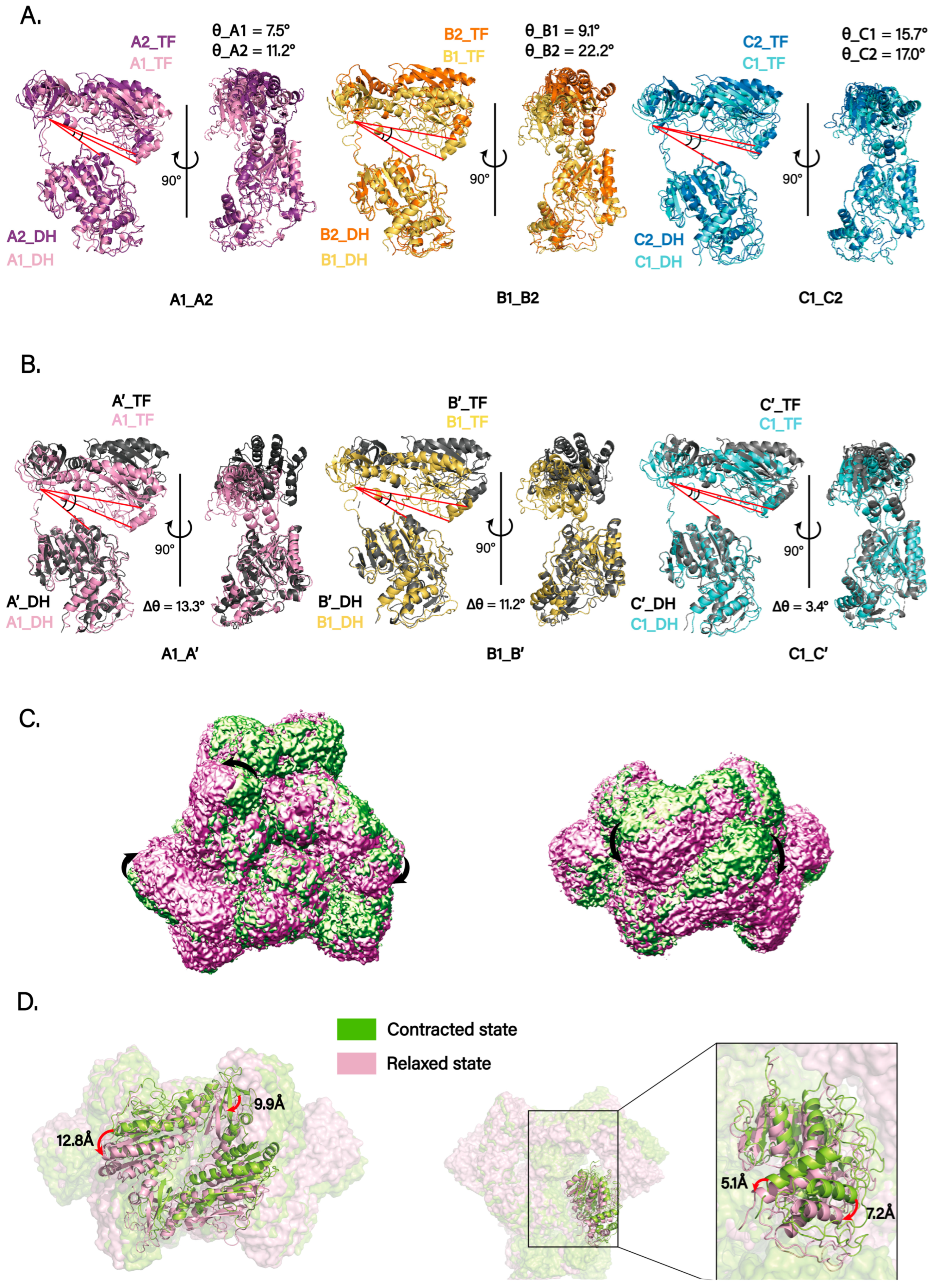 Biomolecules 15 01594 g003