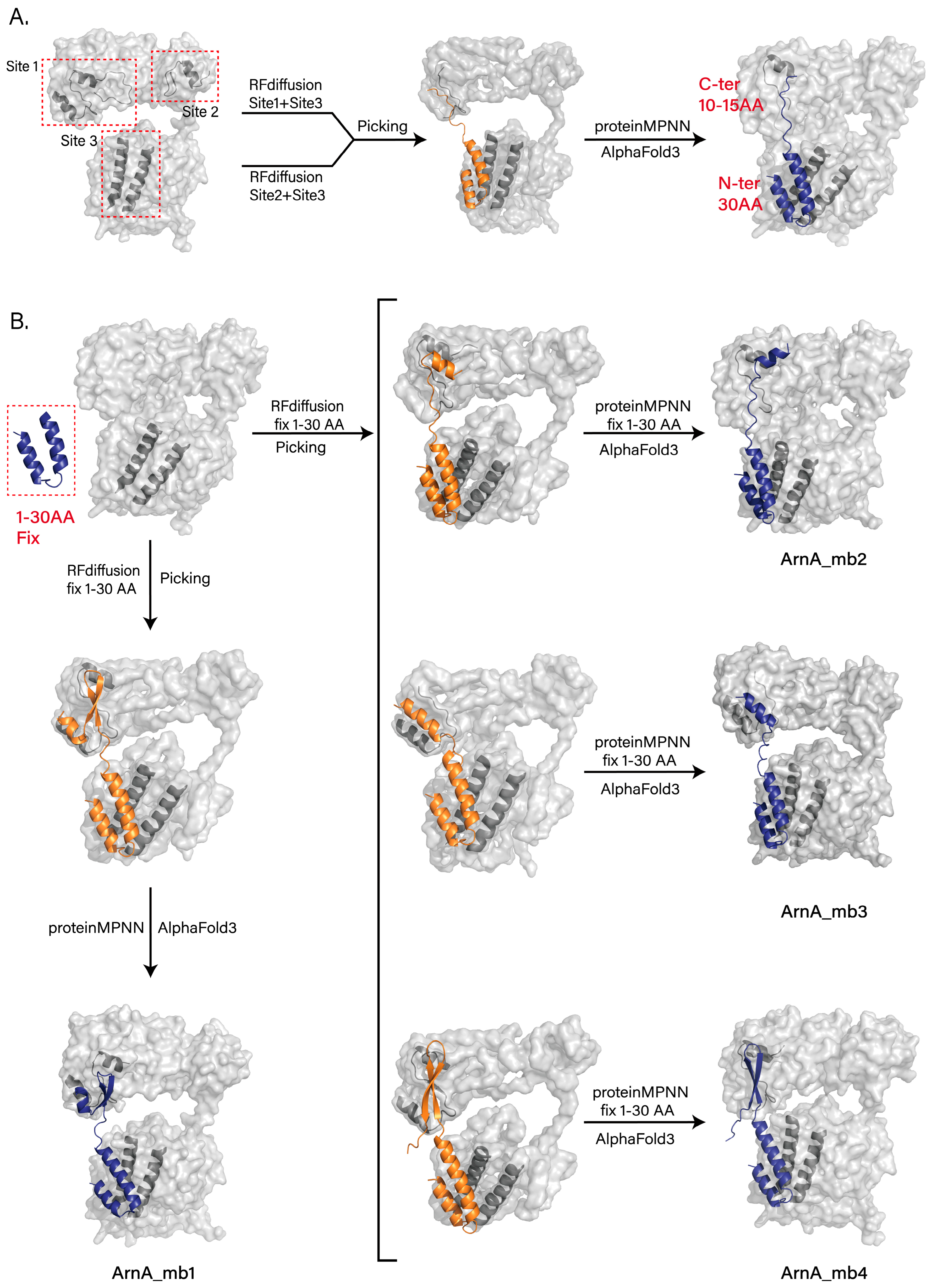 Biomolecules 15 01594 g004