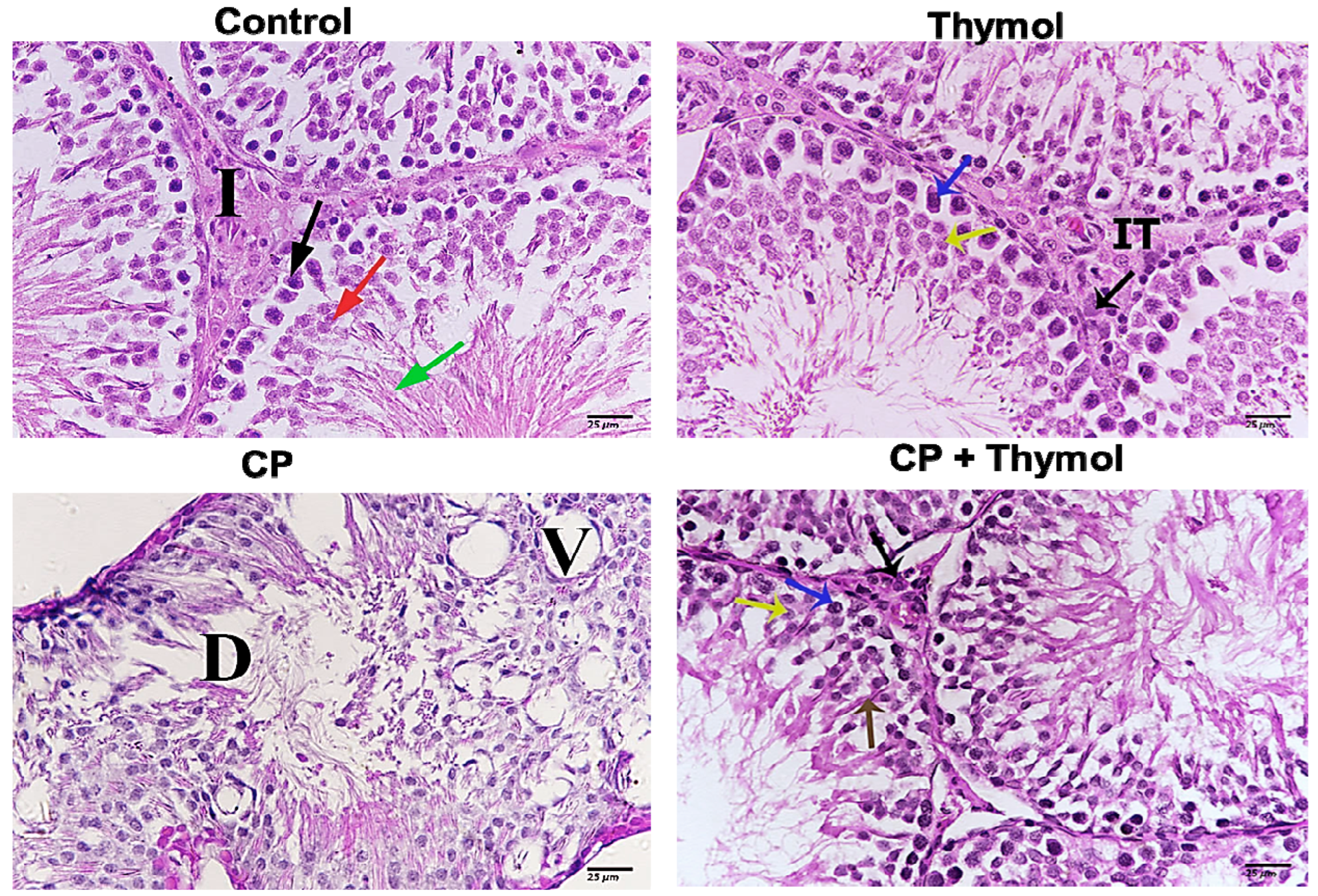 Biomolecules 15 01595 g007